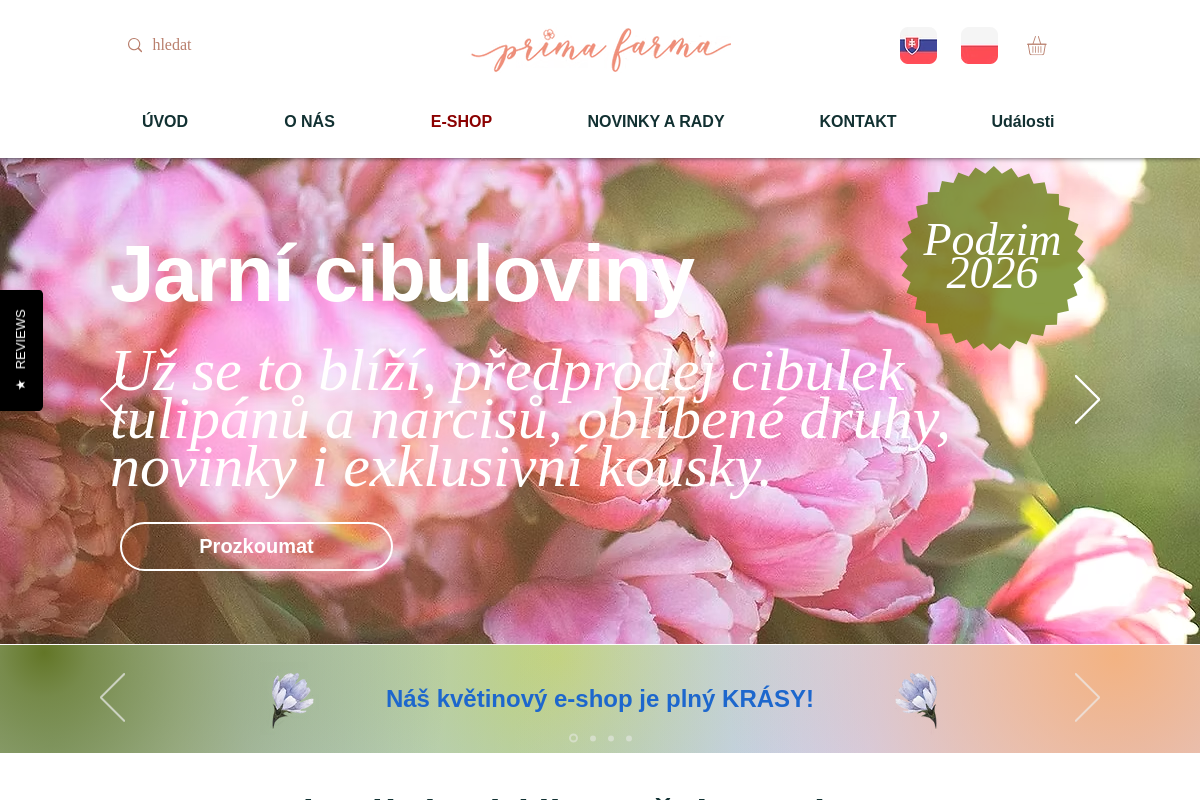 Prima kytky