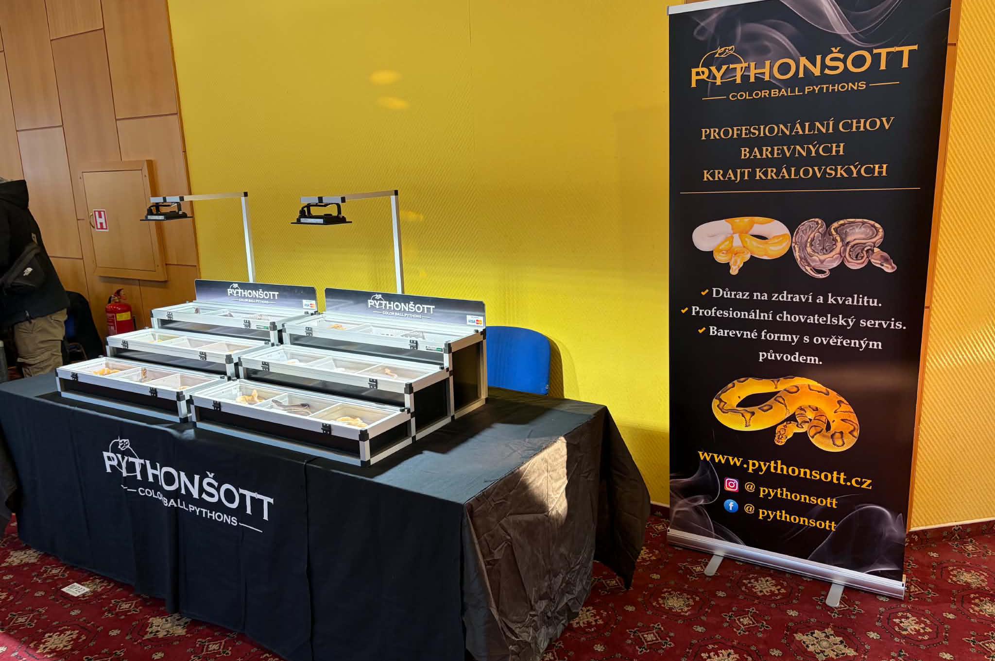Pythonšott