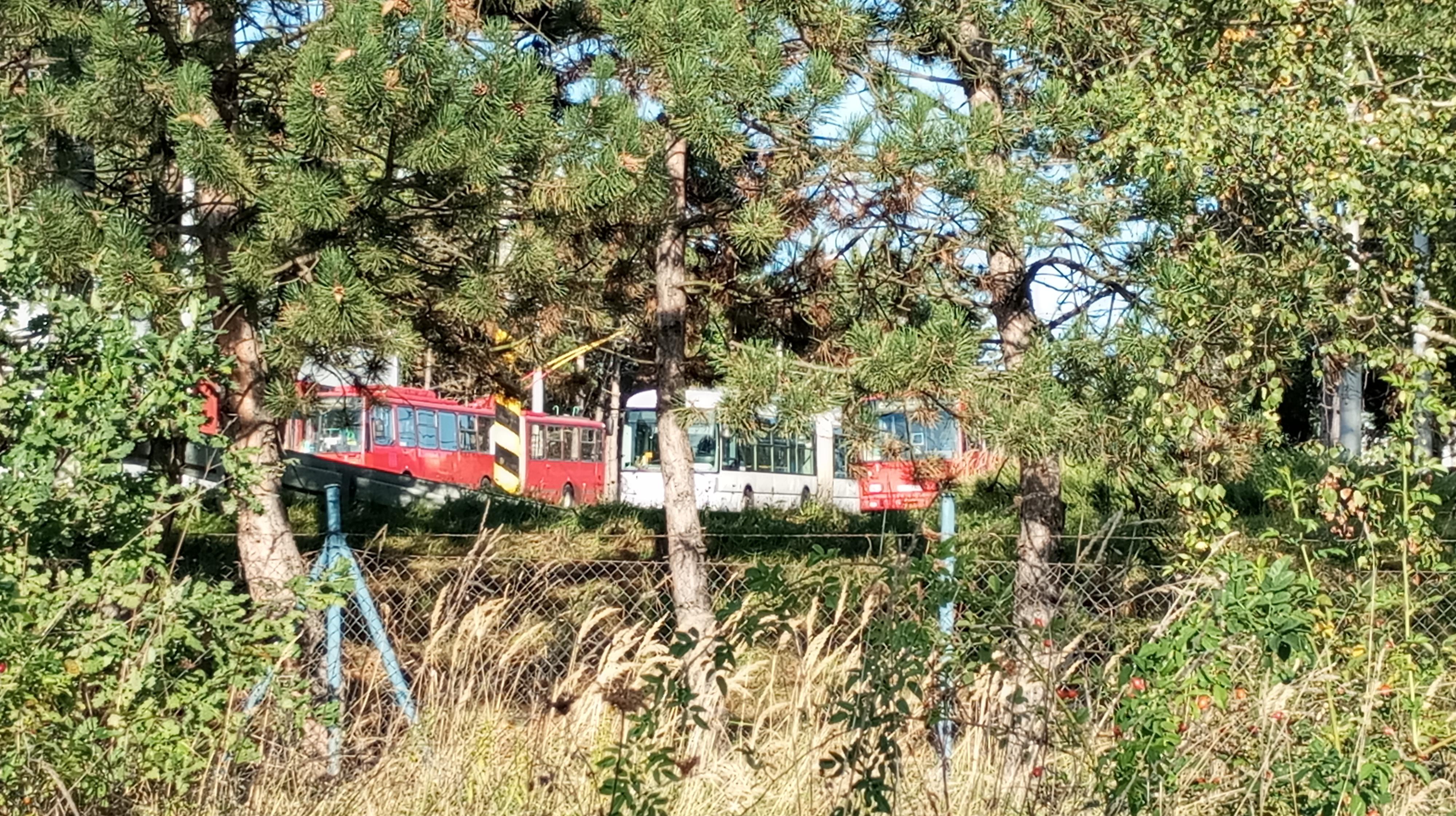 Dopravní podnik města České Budějovice, a.s. foto 5