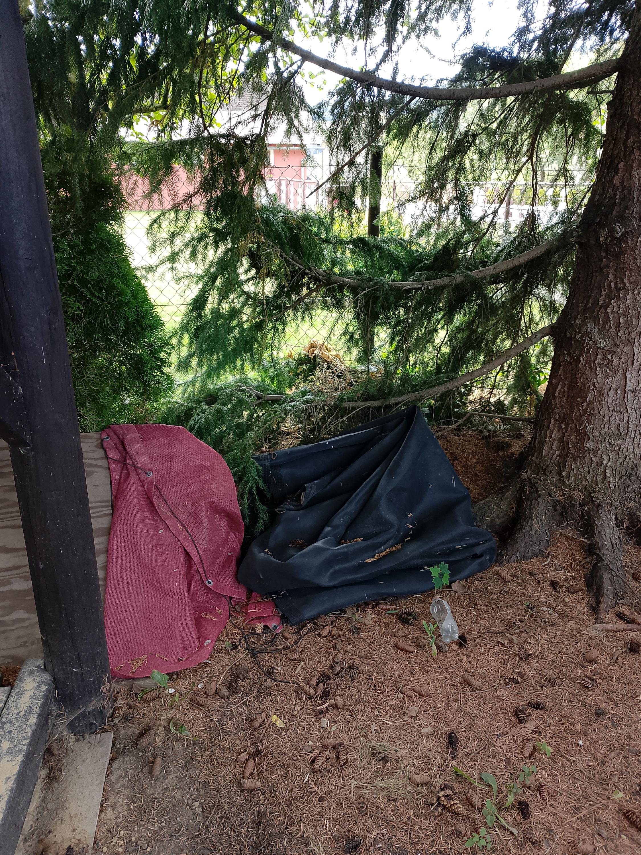 Apartmány Agátha foto 6