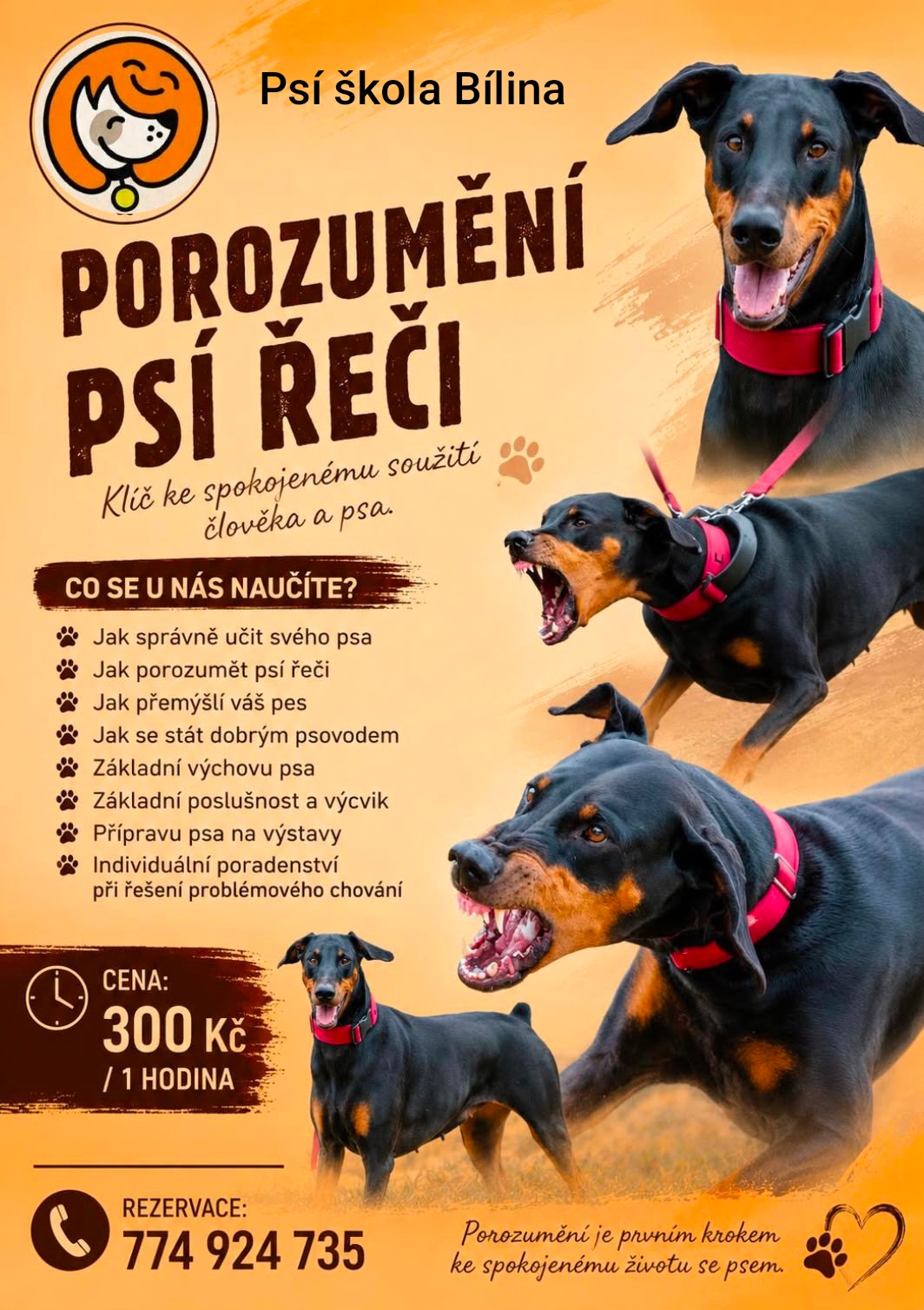 Psí škola Bílina foto 2