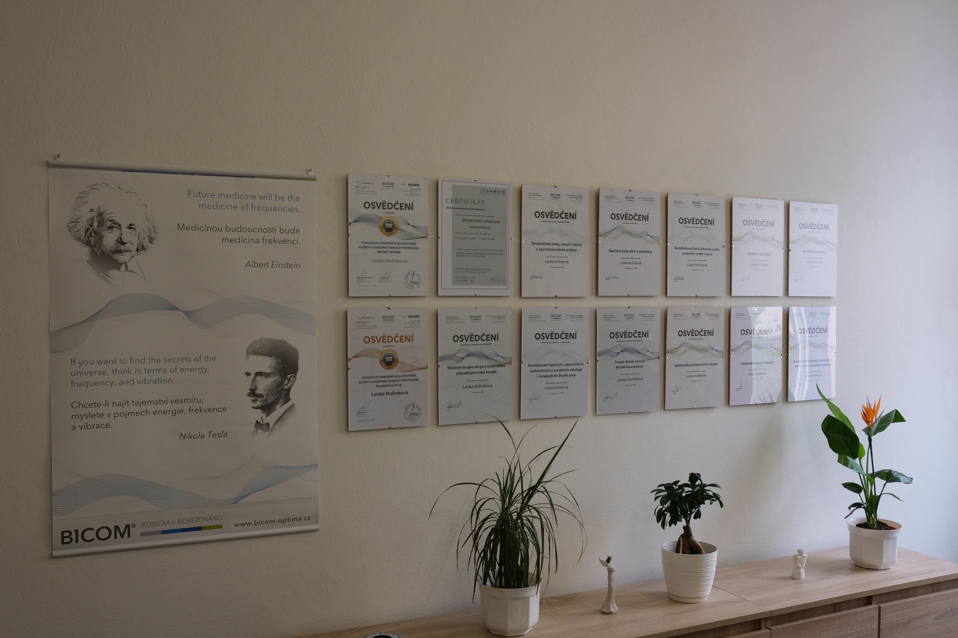 Biorezonance Bicom Jičín foto 2
