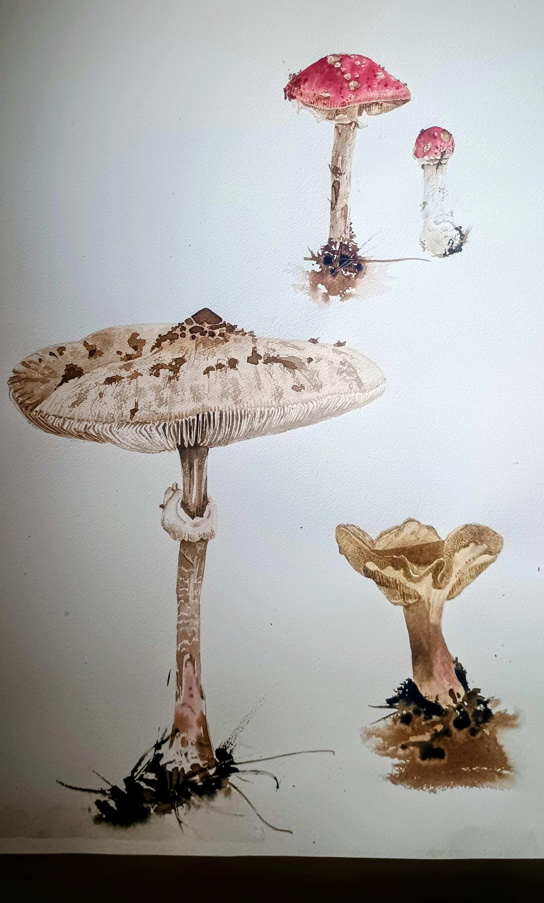 Galerie Josefa Lieslera foto 4