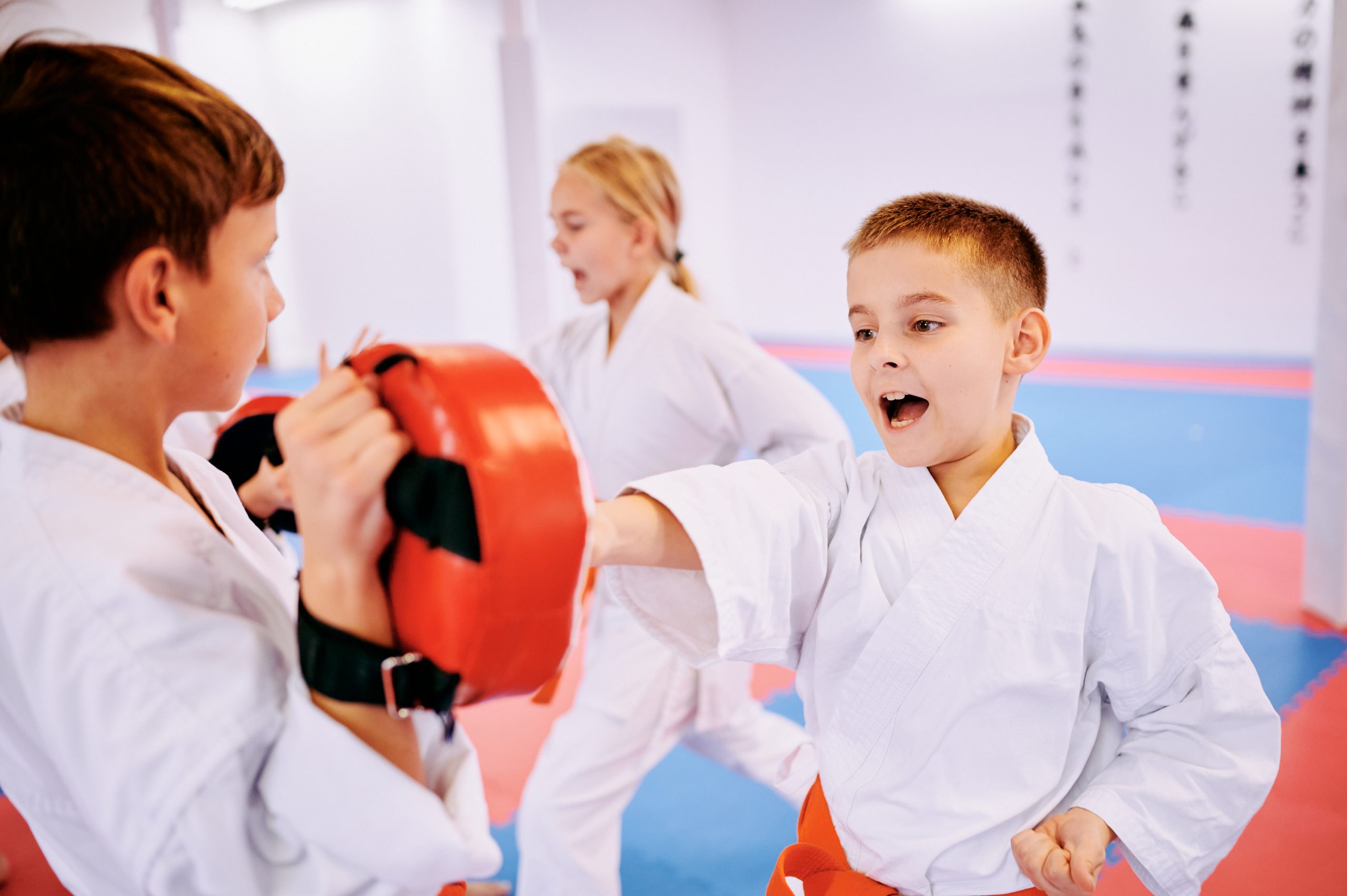 Akademie karate Brno foto 3