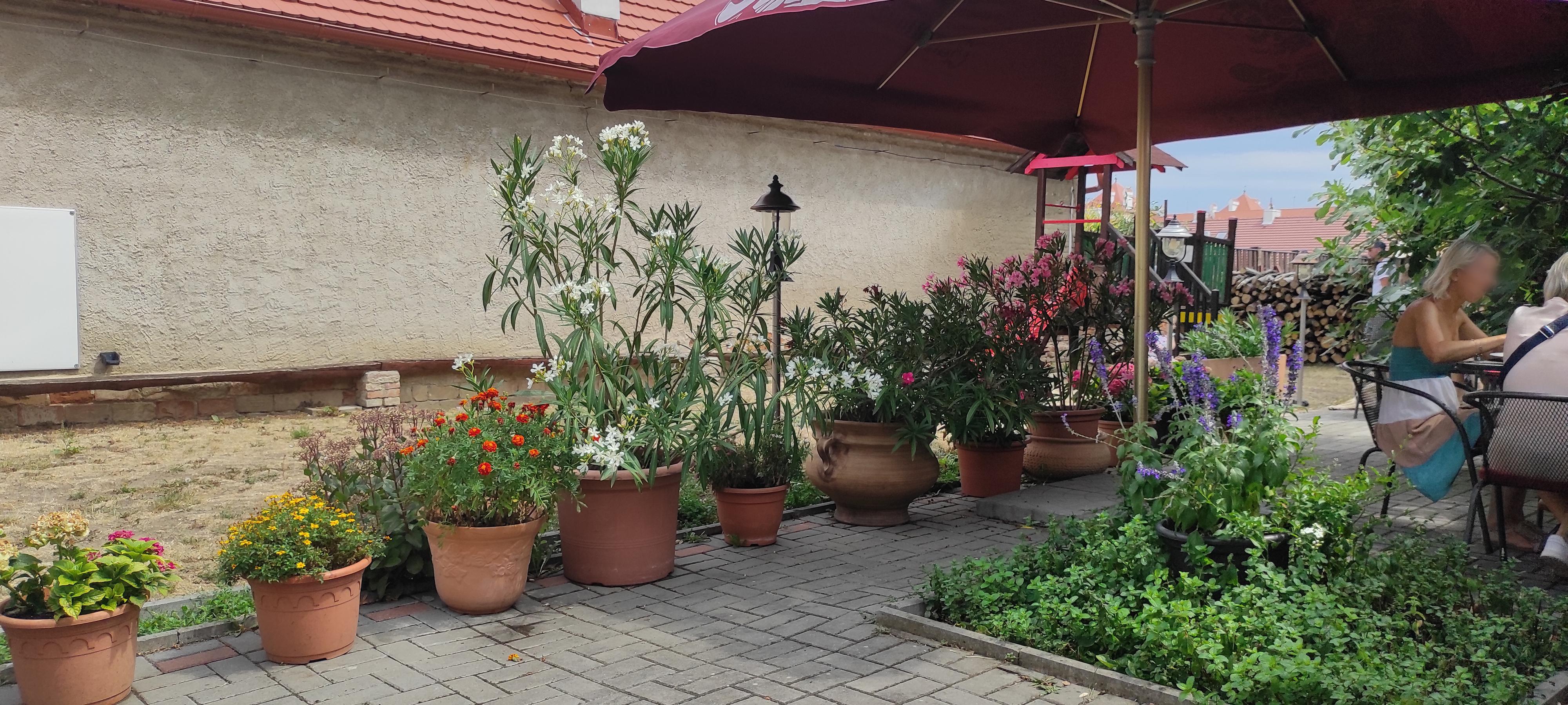 Hospoda Na hradbách foto 2