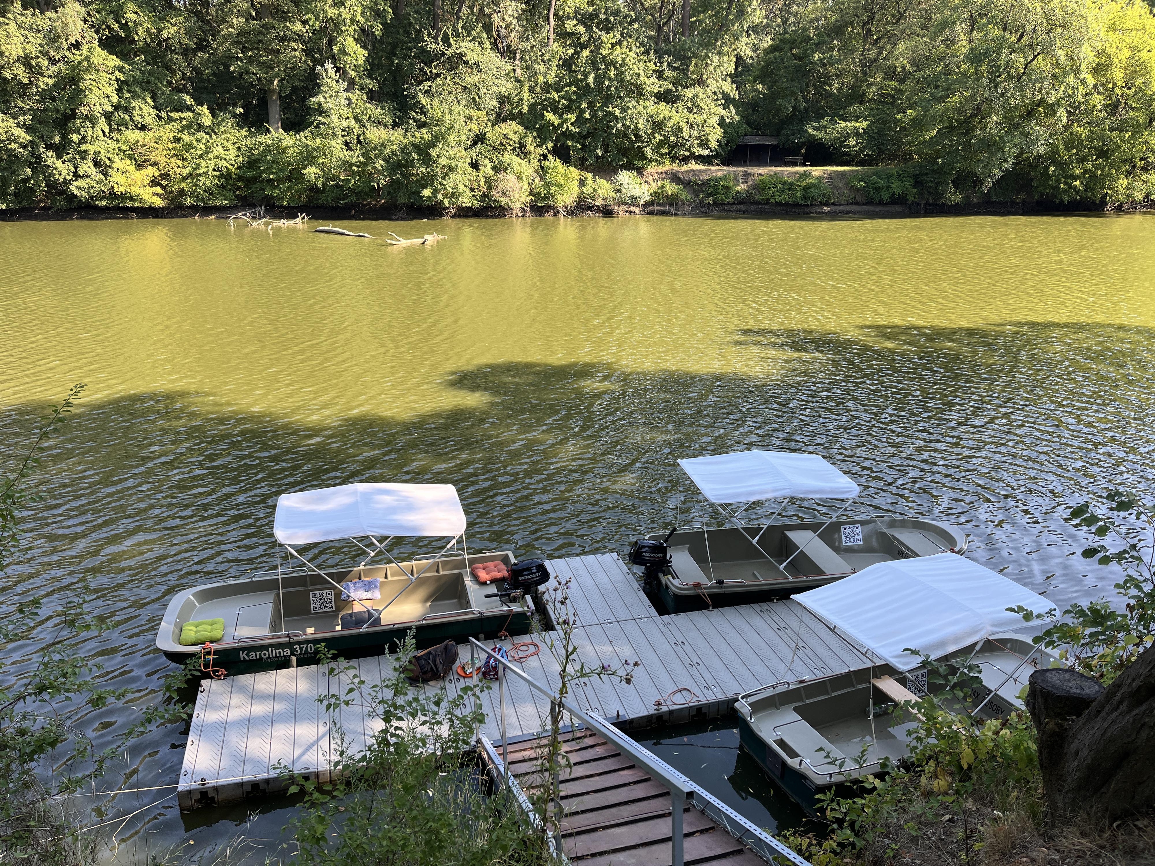 Půjčovna lodí a paddleboardů Rohatec foto 6