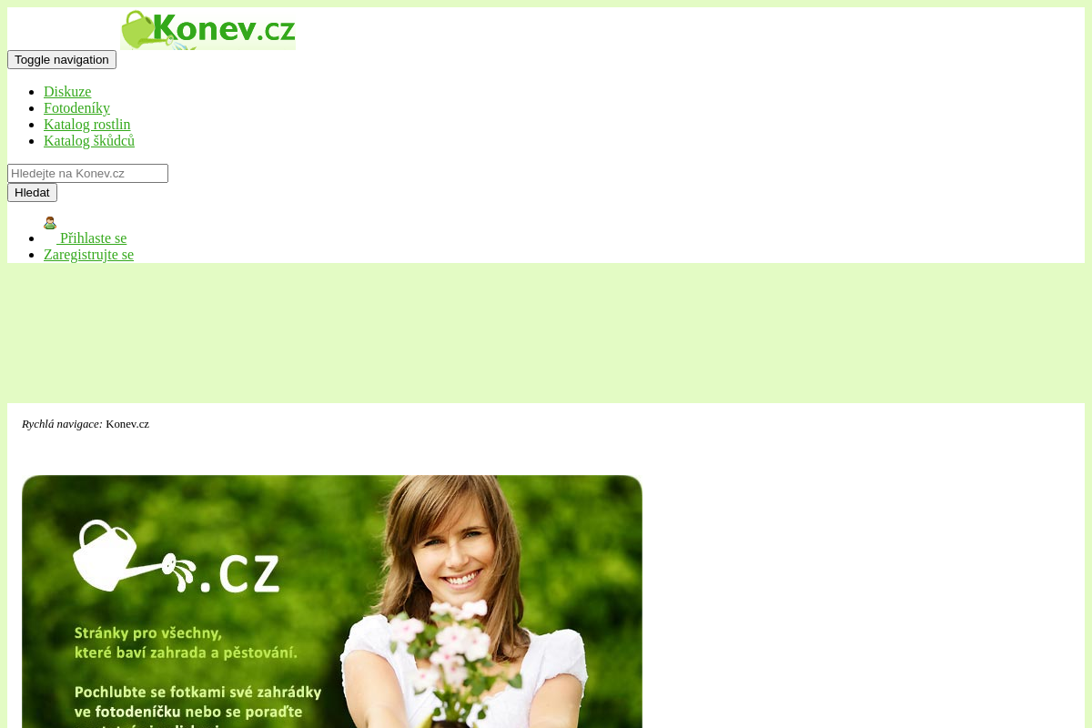 Konev.cz