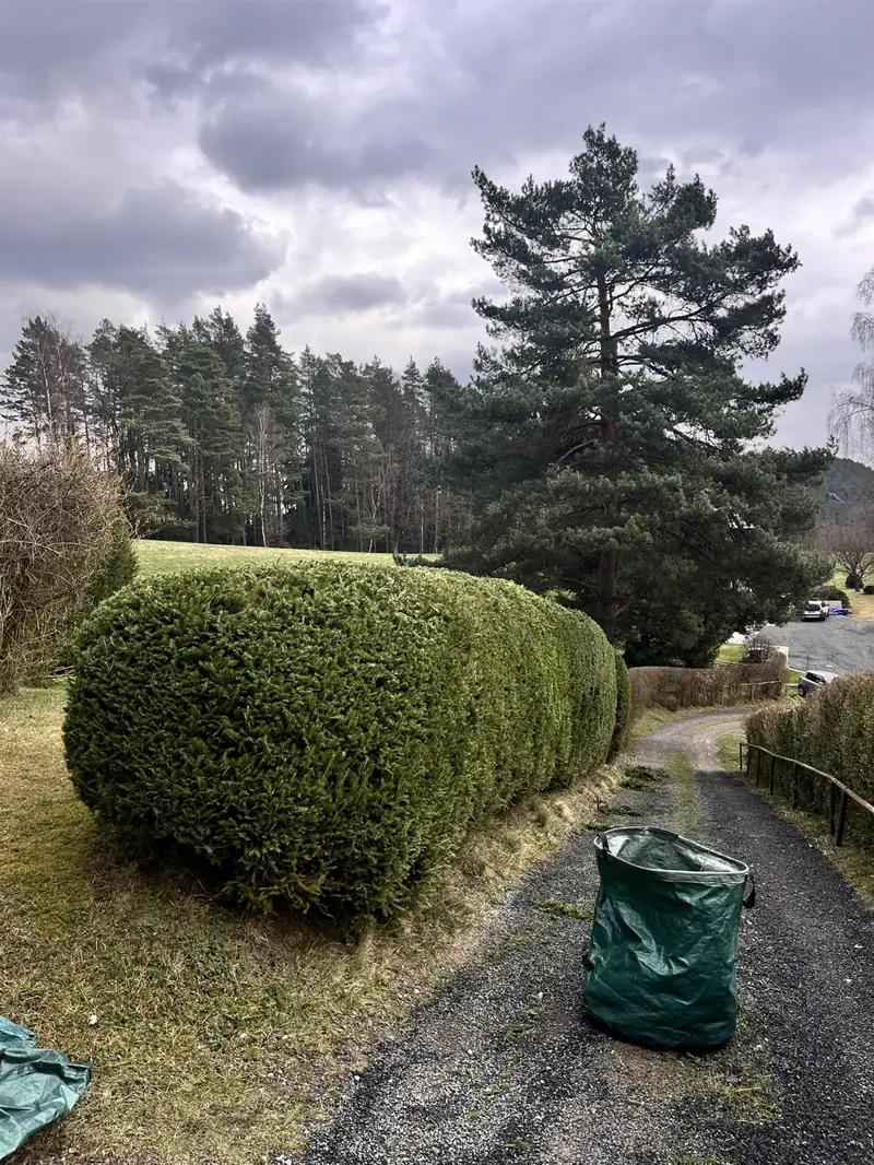 Zahradnické Práce Kubín foto 2