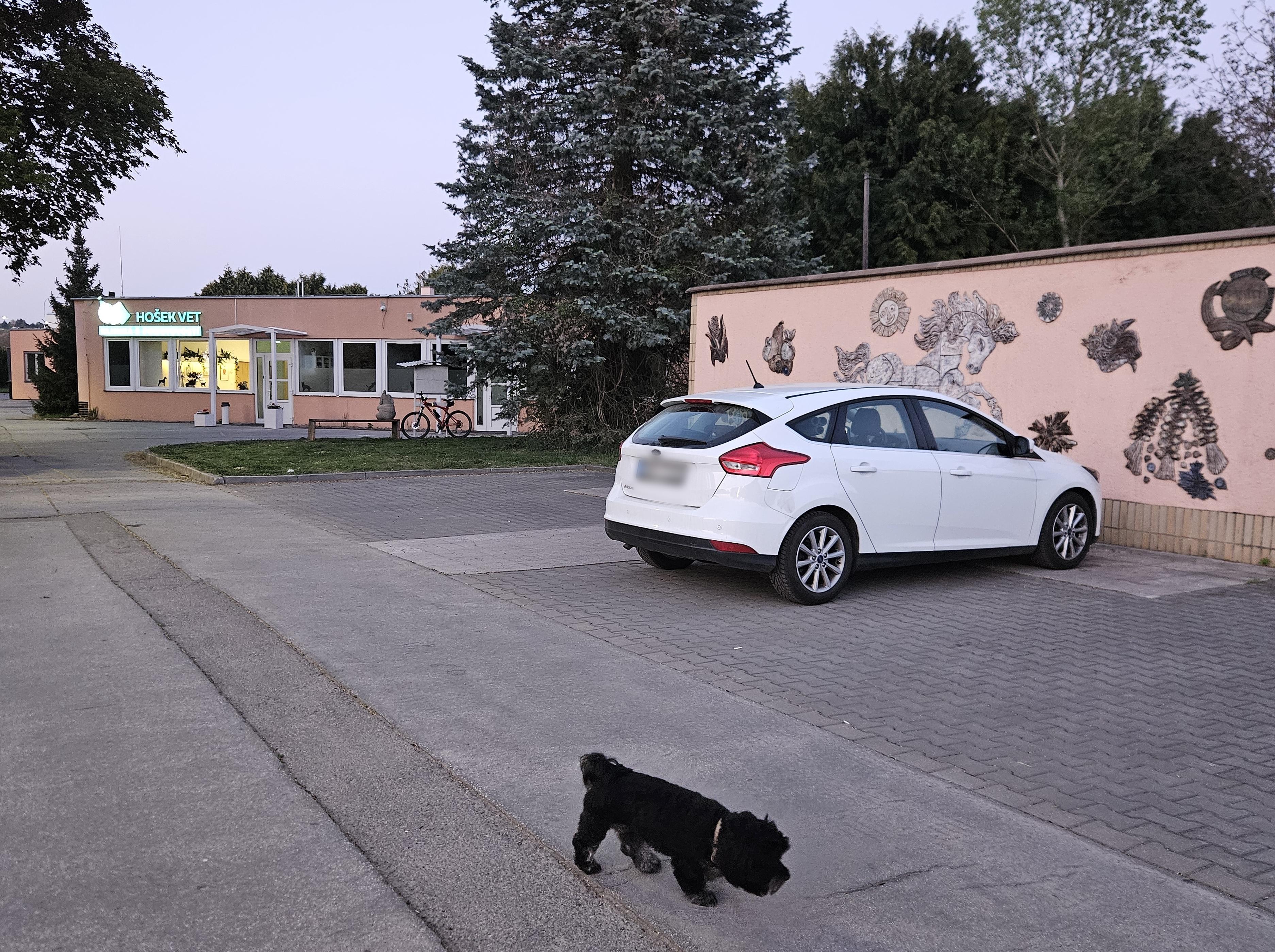 Veterinární klinika s pohotovostí - MVDr. Helena Místecká foto 4