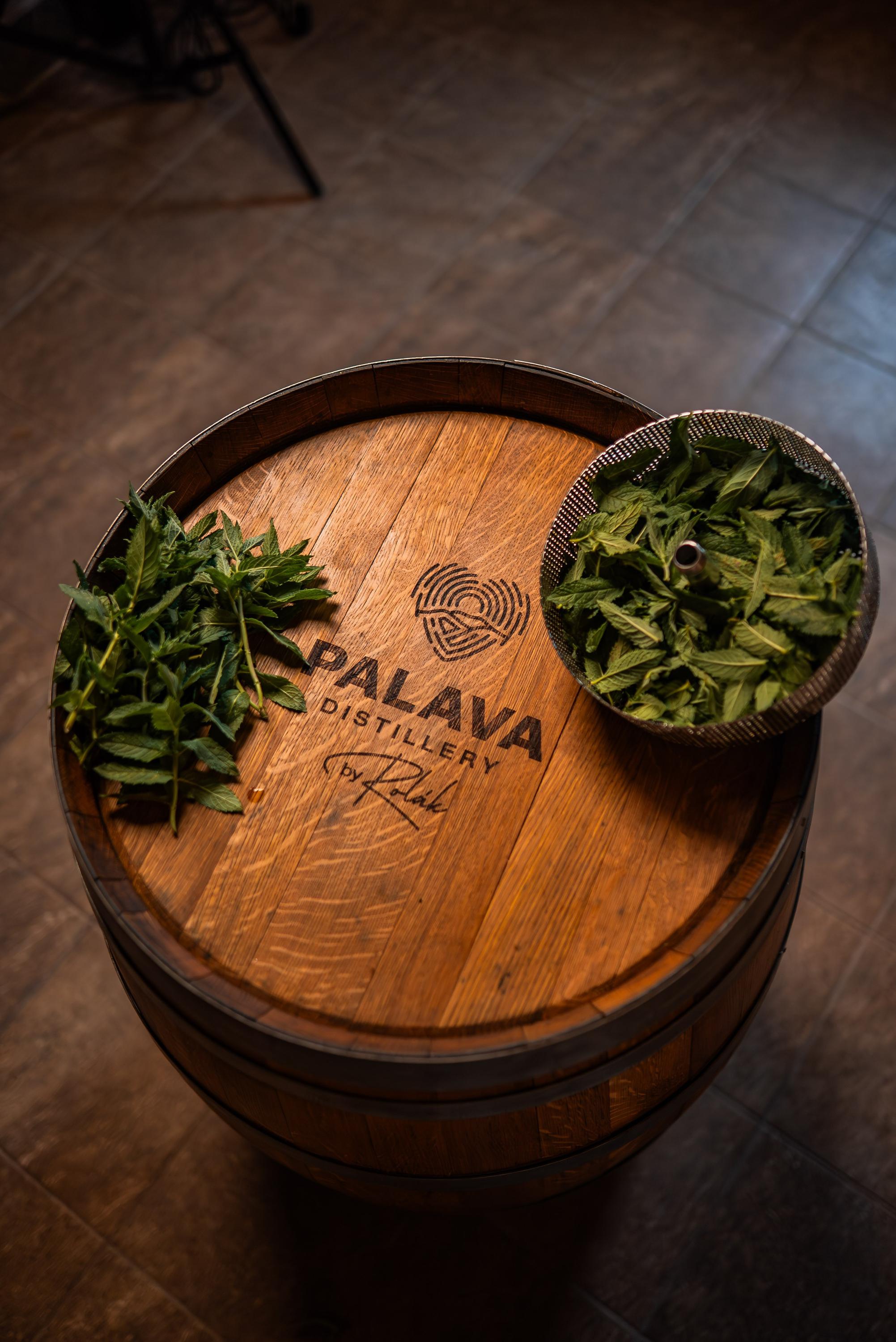 Palava Distillery & Pálenice Pálava foto 4