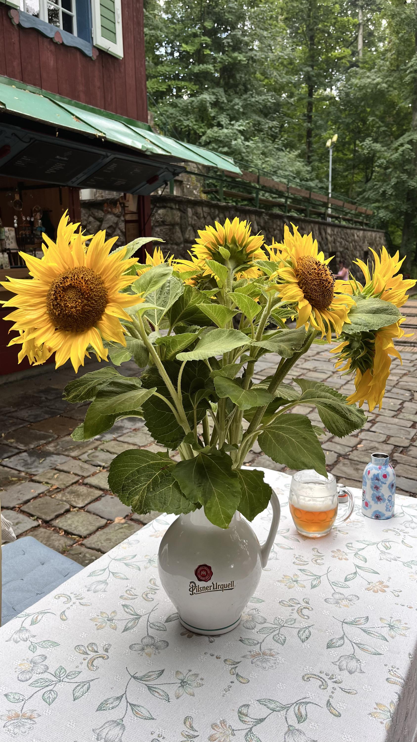 Chaloupka Maruška - Občerstvovna foto 3