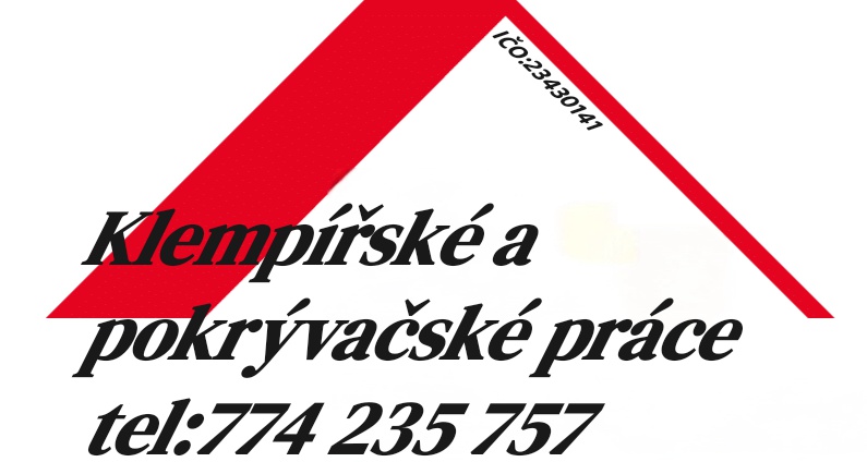 Aleš Voříšek foto 1