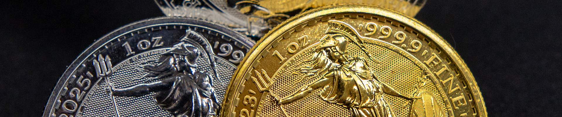 Úvodní obrázek GOLD & SILVER