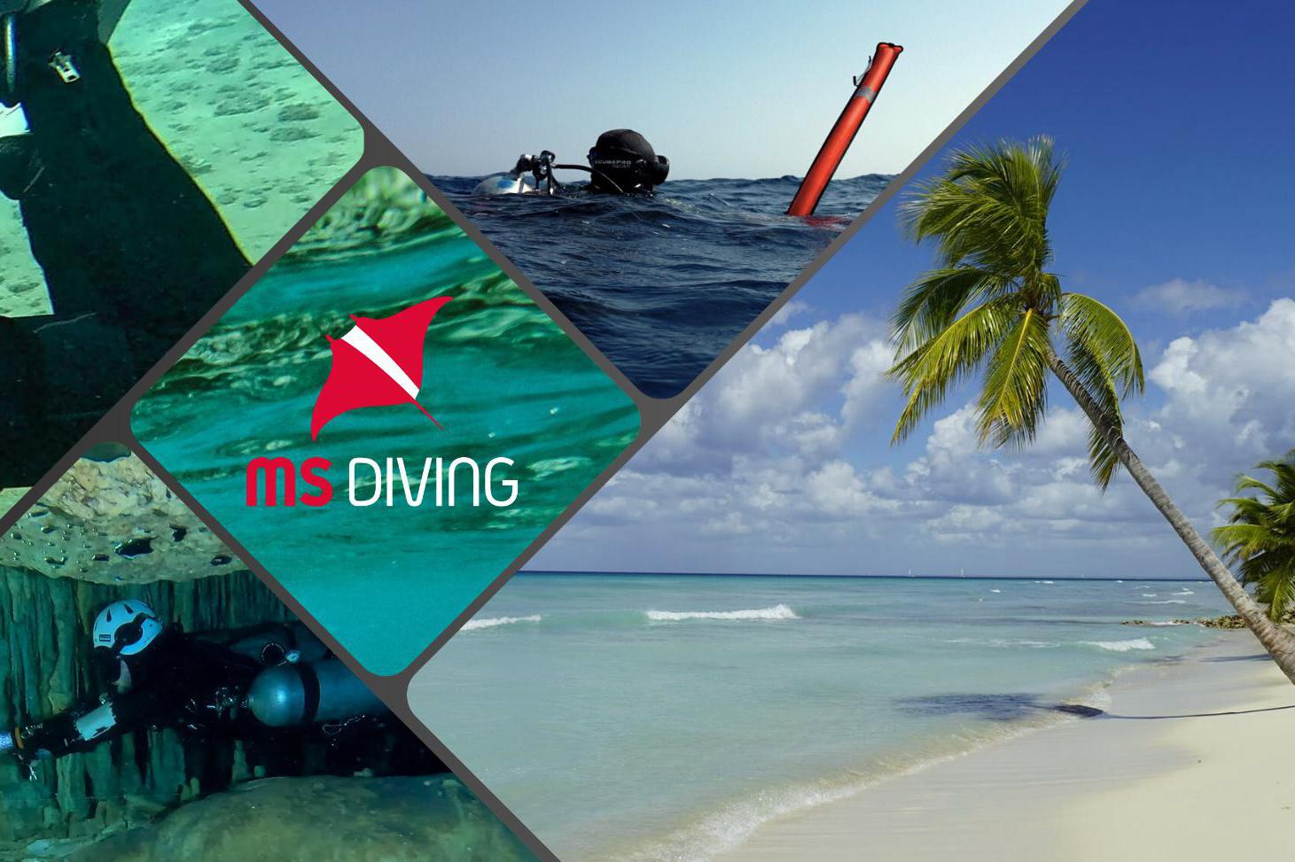 MS Diving / Škola potápění