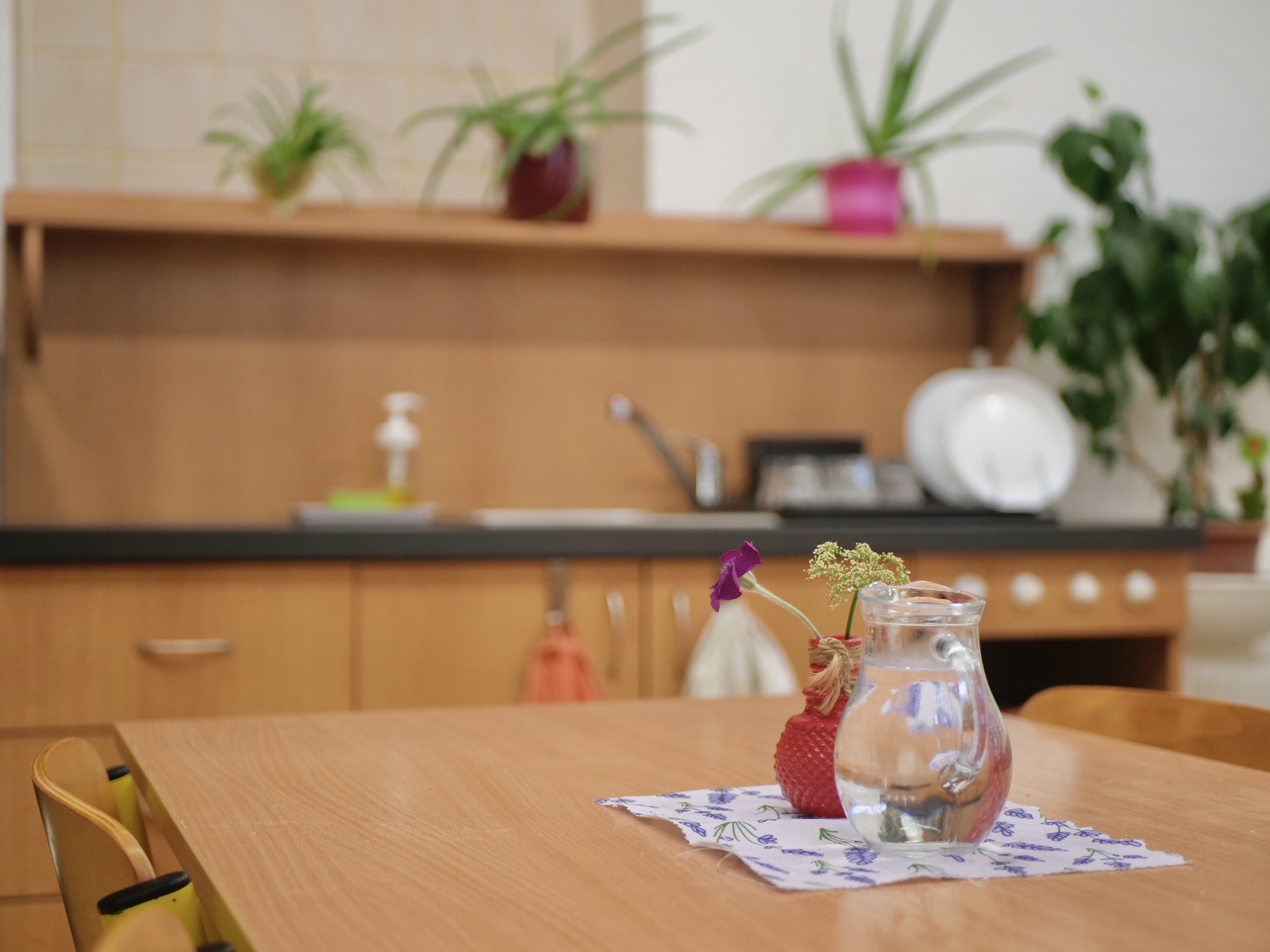 Zvoněnka: Montessori základní škola foto 4