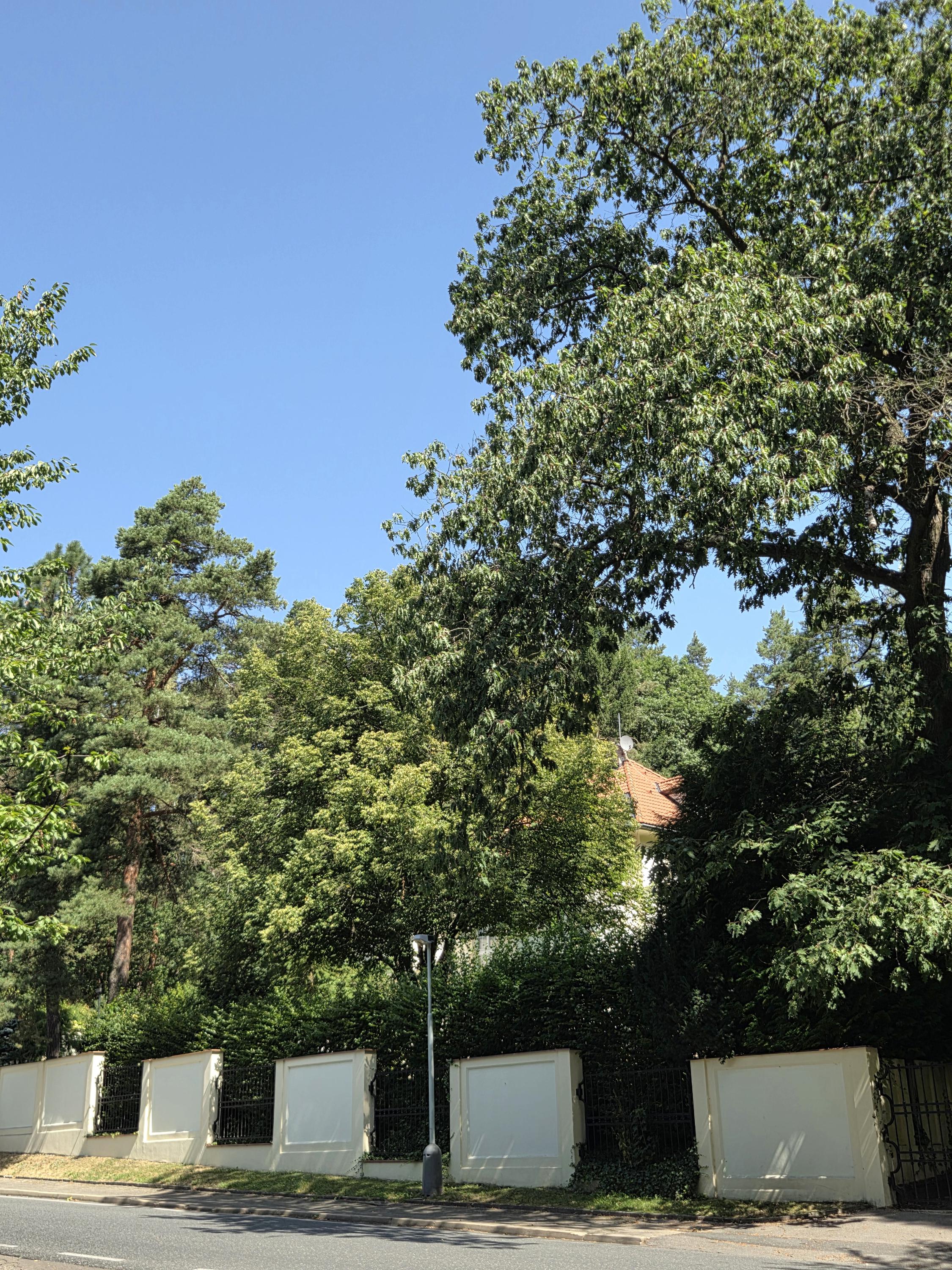 Vila Zlatý slavík foto 3