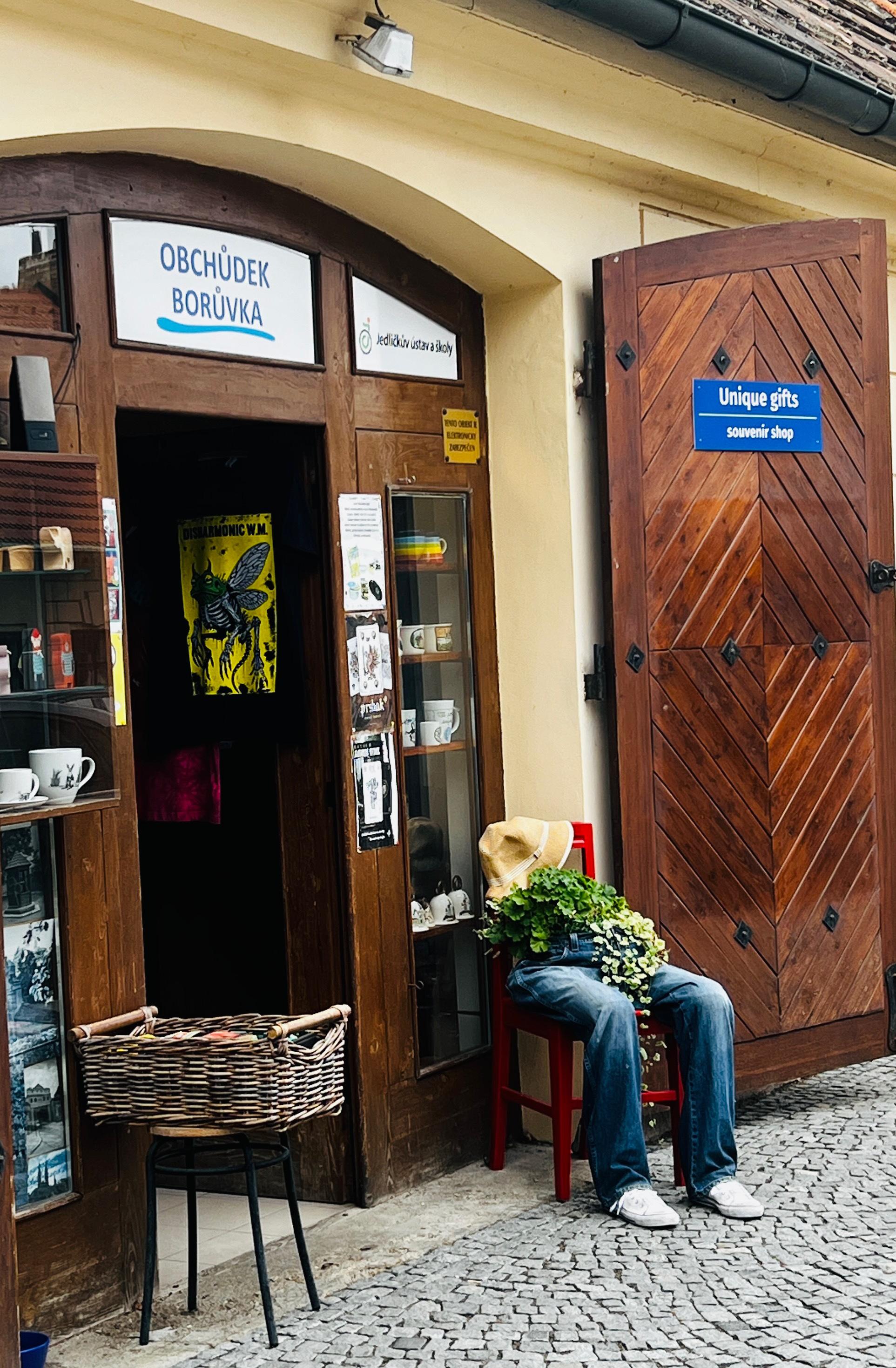 Občanské sdružení Borůvka - Obchůdek Borůvka foto 2
