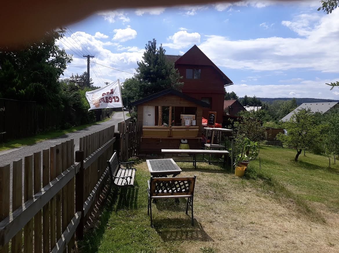Zmrzlina u Babičky foto 3
