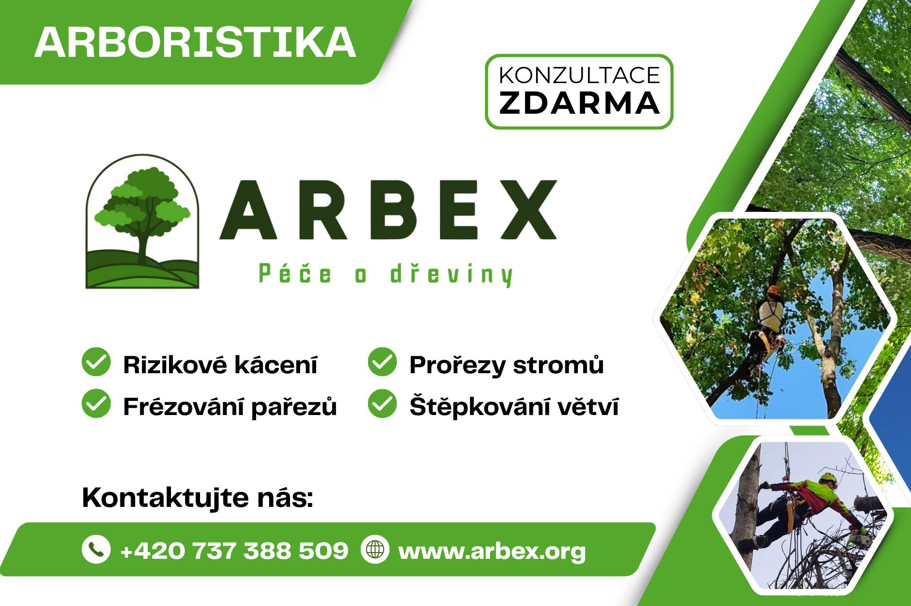 ARBEX - Prořezy a rizikové kácení stromů