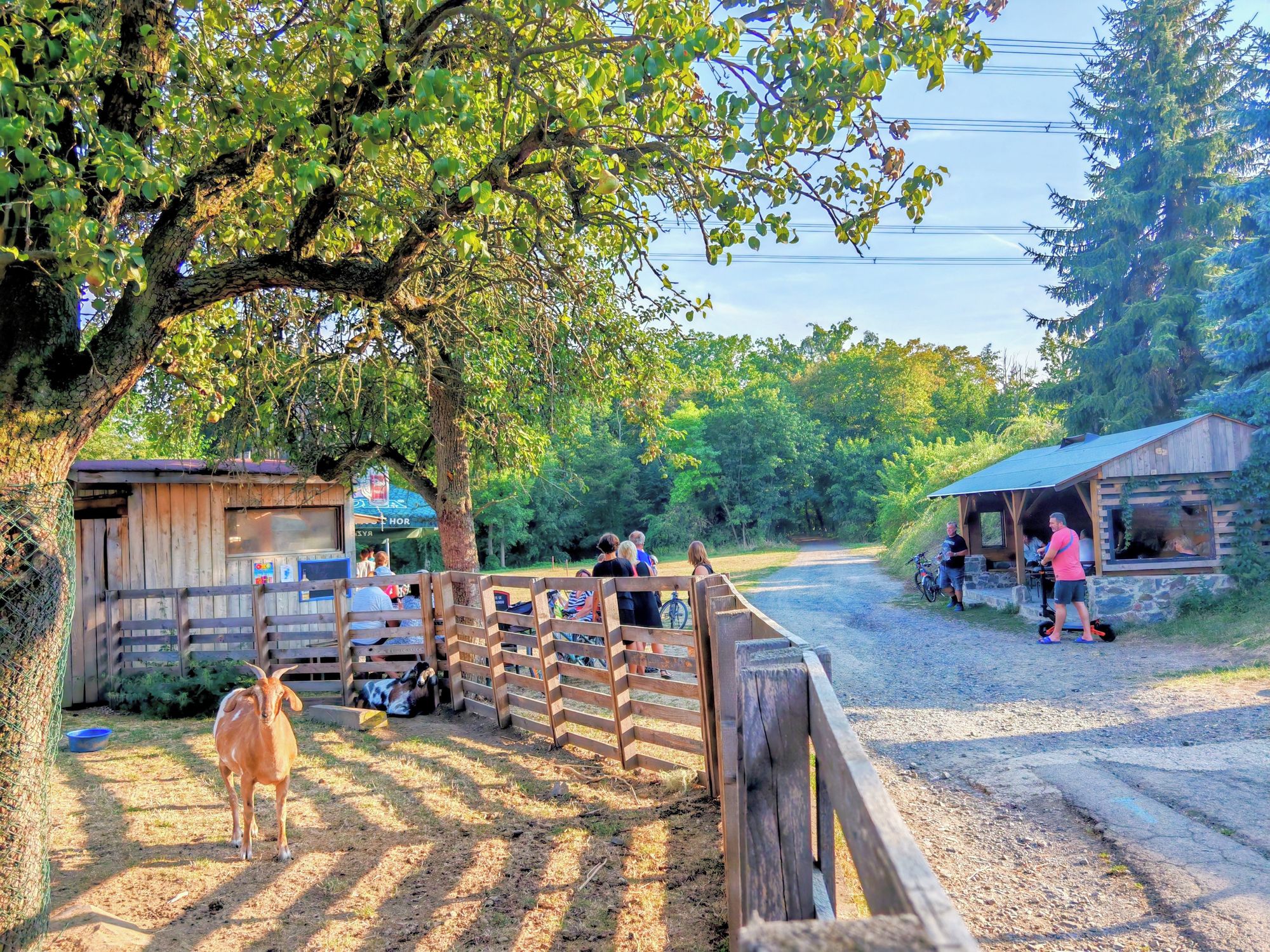 Občerstvovna U Hrádku foto 2