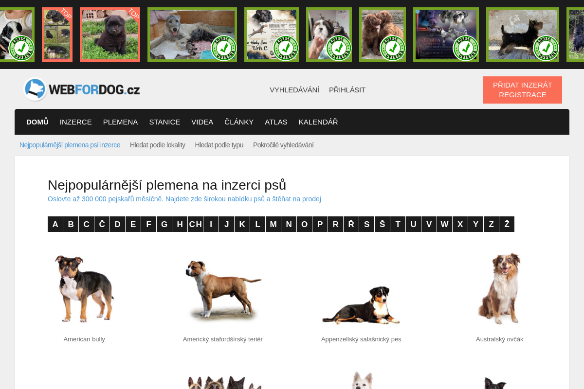 WEBFORDOG.cz