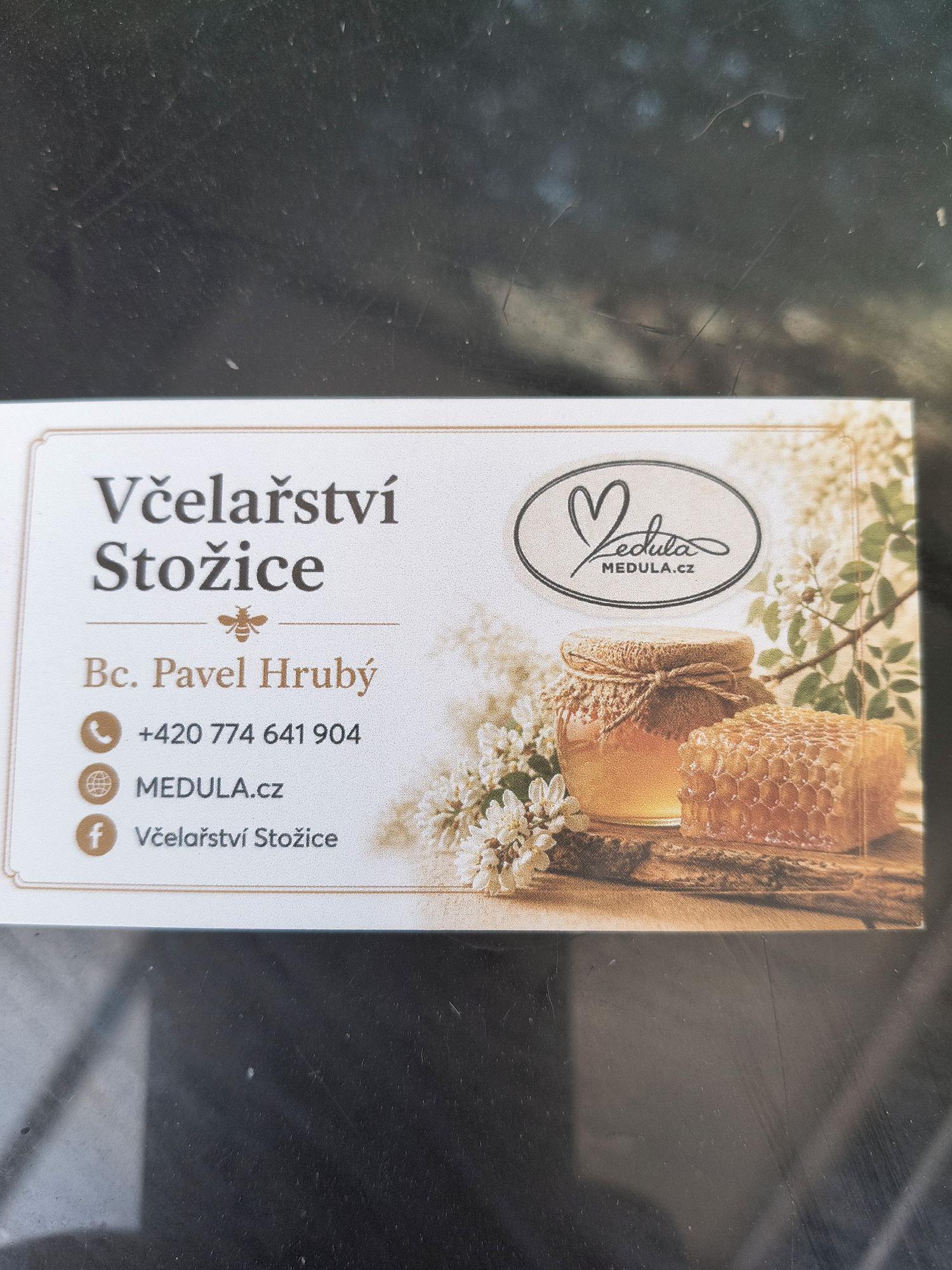 Medula.cz foto 3
