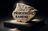 logo Milan Holub