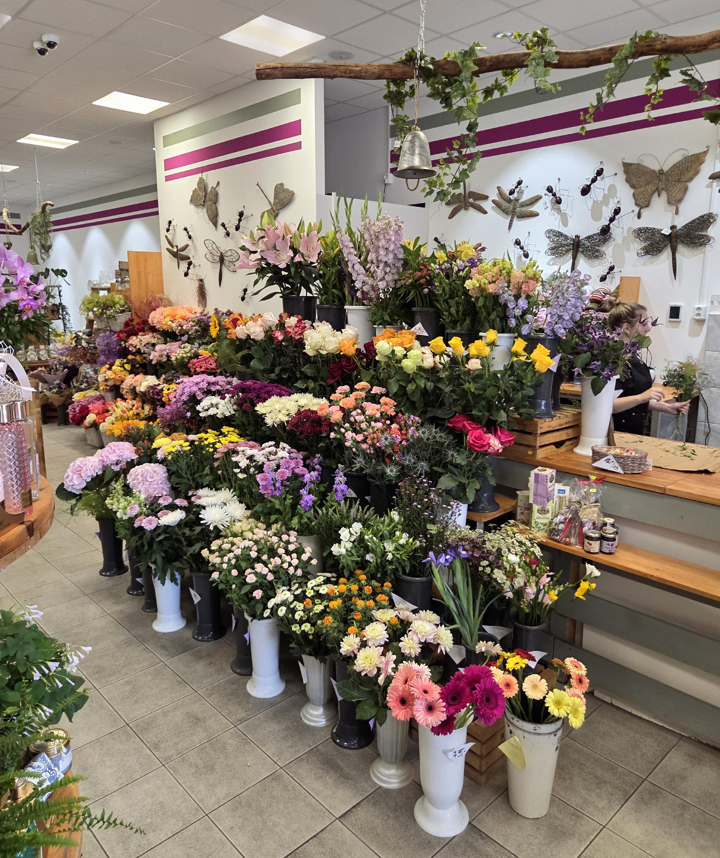 Hana Hanzlová – Flora Dekor foto 5