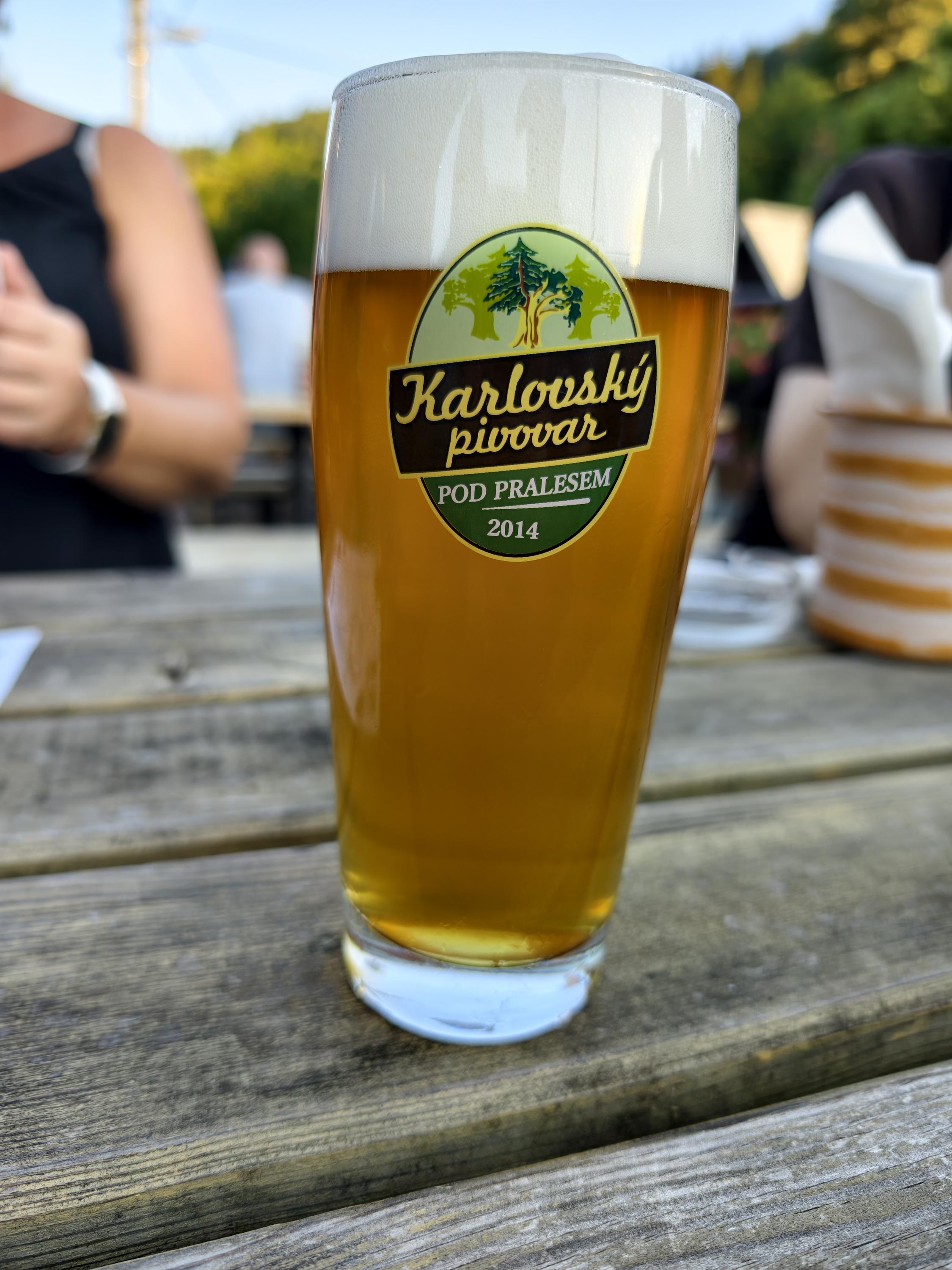 Karlovský pivovar Pod Pralesem foto 3