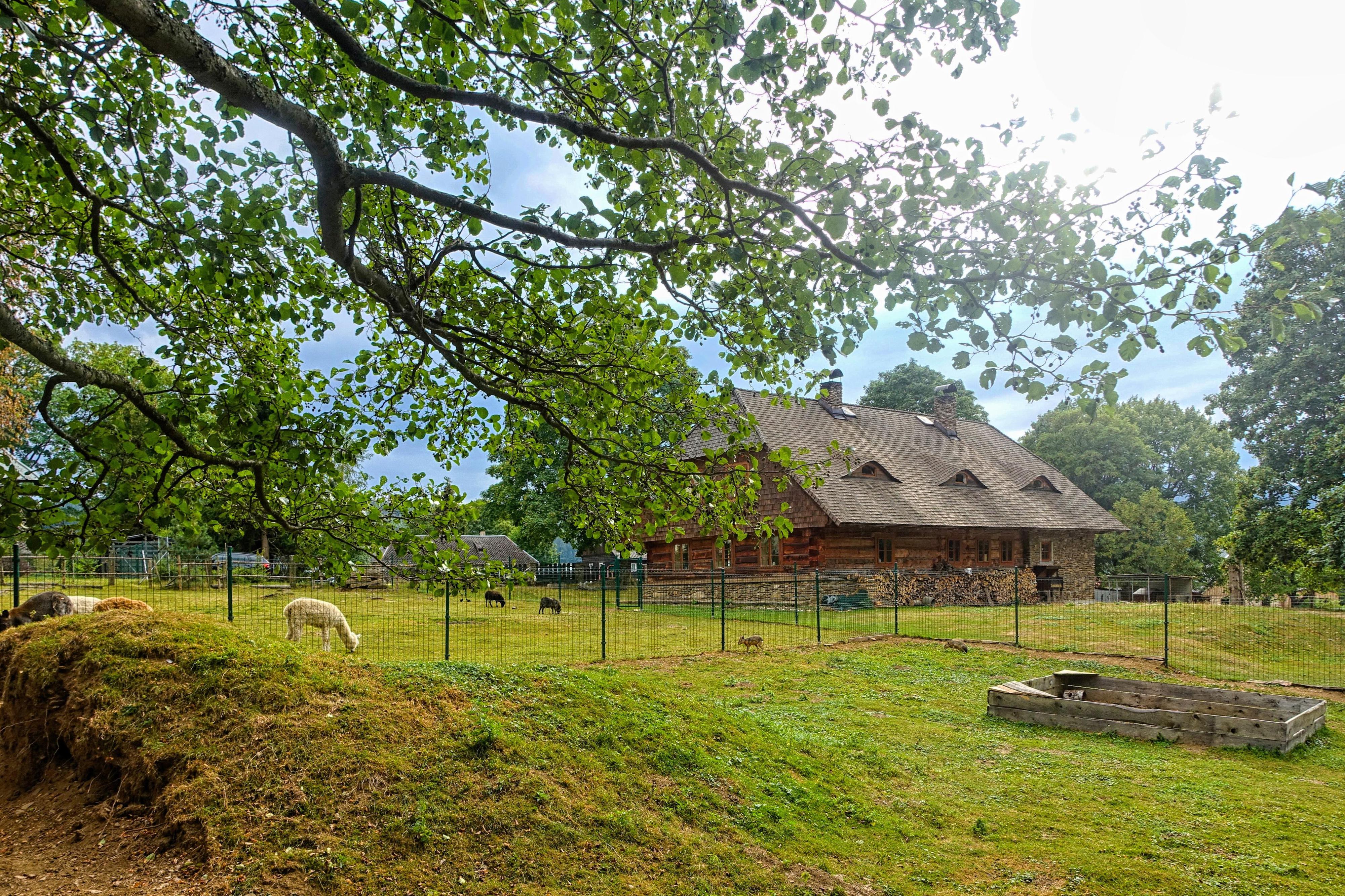 Farmapark Javorná na Šumavě foto 5
