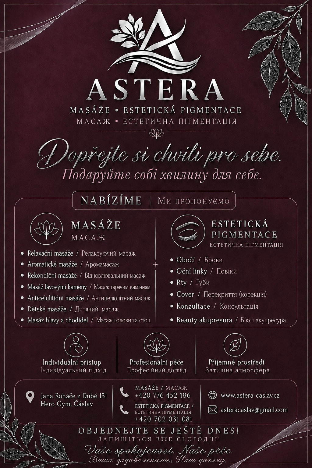 Astera foto 1