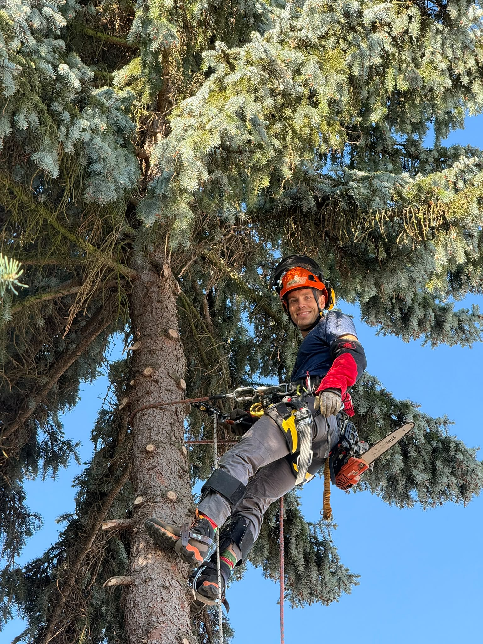 Rizikové kácení a ošetřování stromů Václav Tomšík foto 3