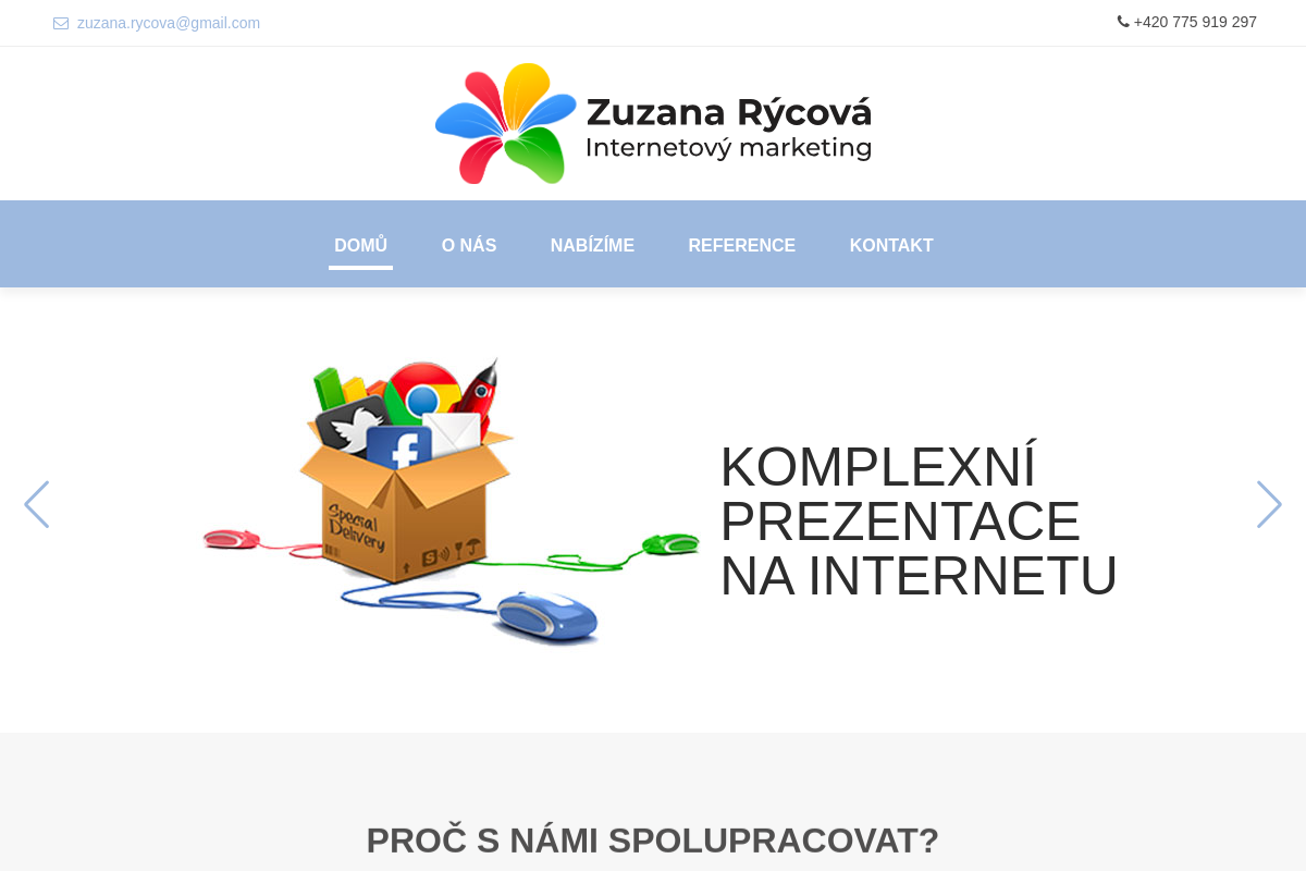 Internetový marketing - Zuzana Rýcová