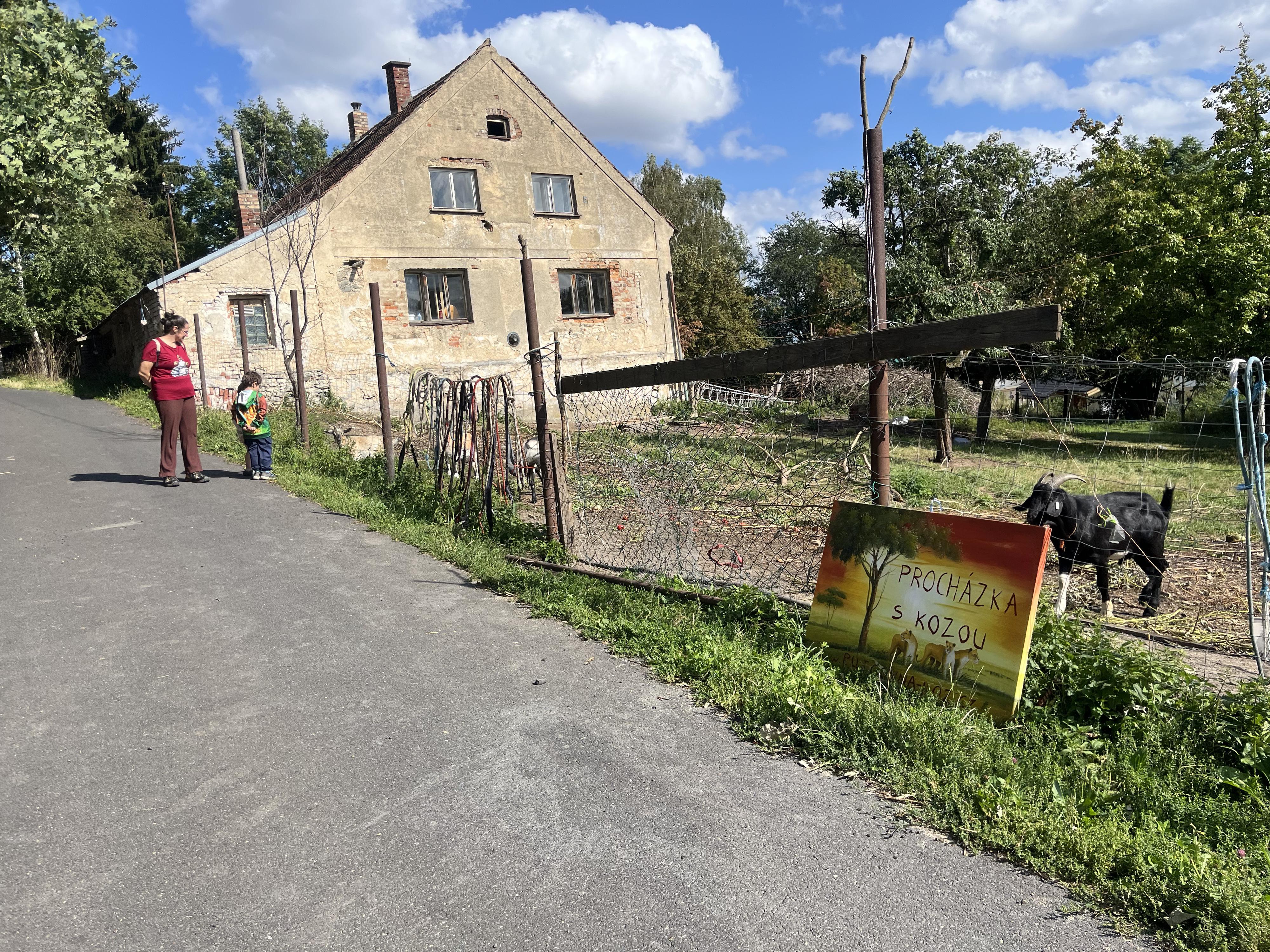 Půjčovna koz foto 4