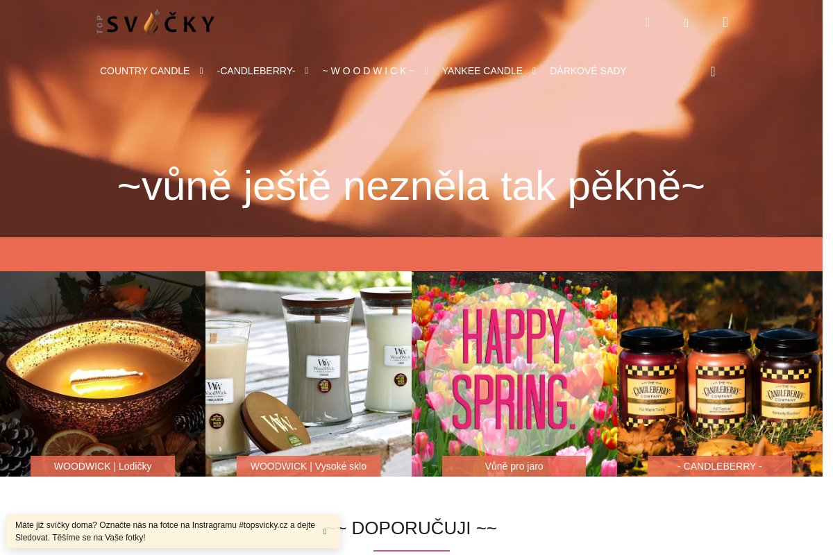 Topsvicky.cz