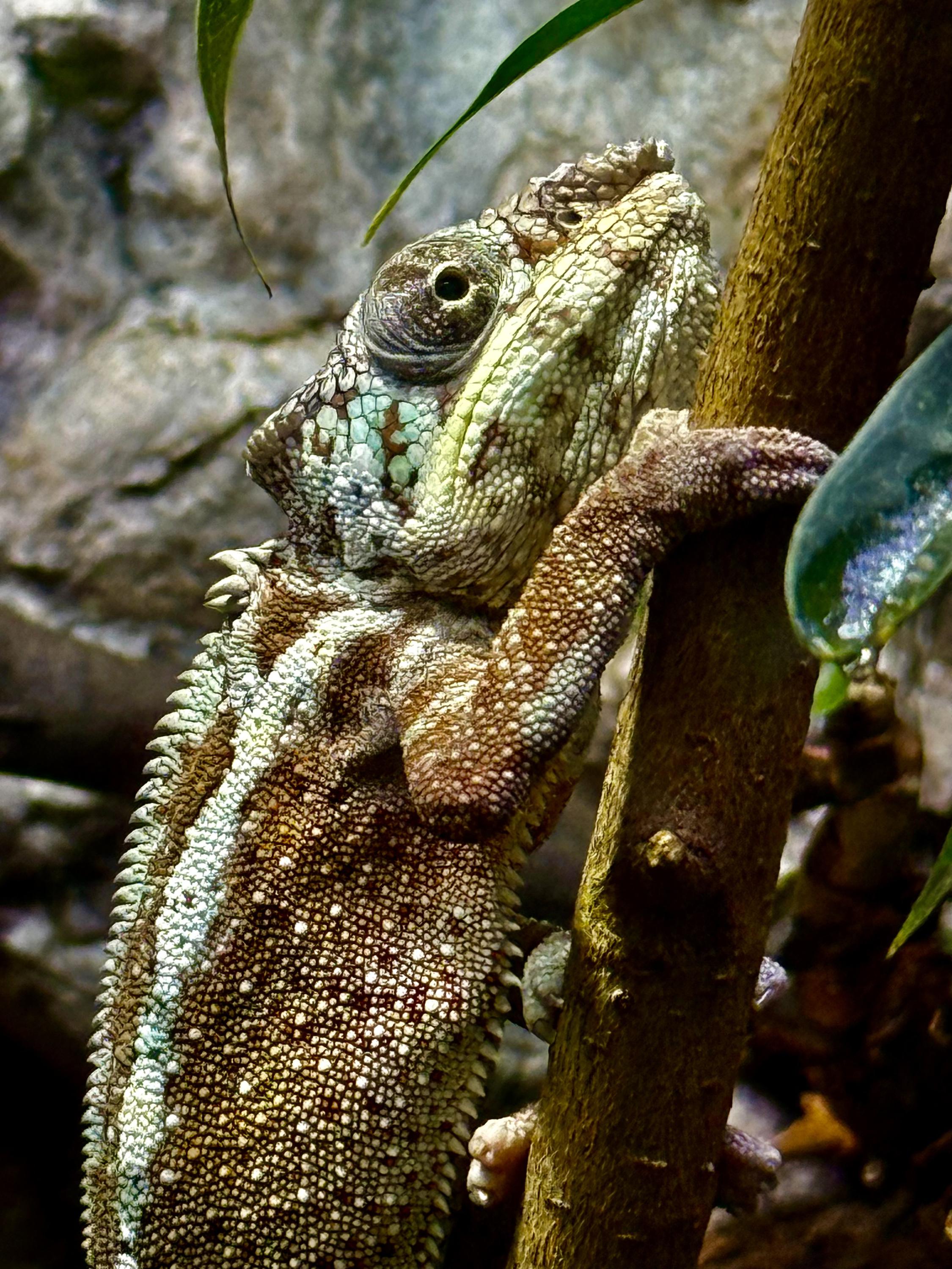 Zoo Liberec foto 2