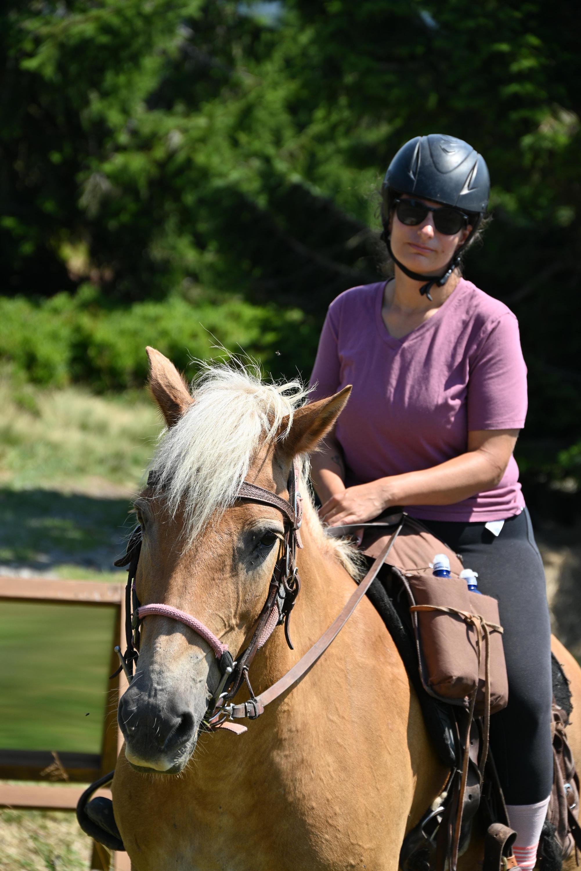 Horse Activity foto 6