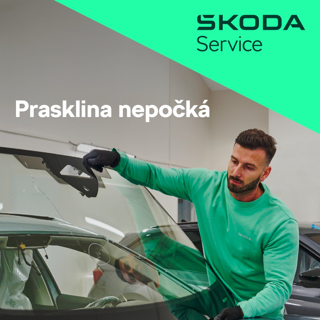 Výměny a opravy autoskel