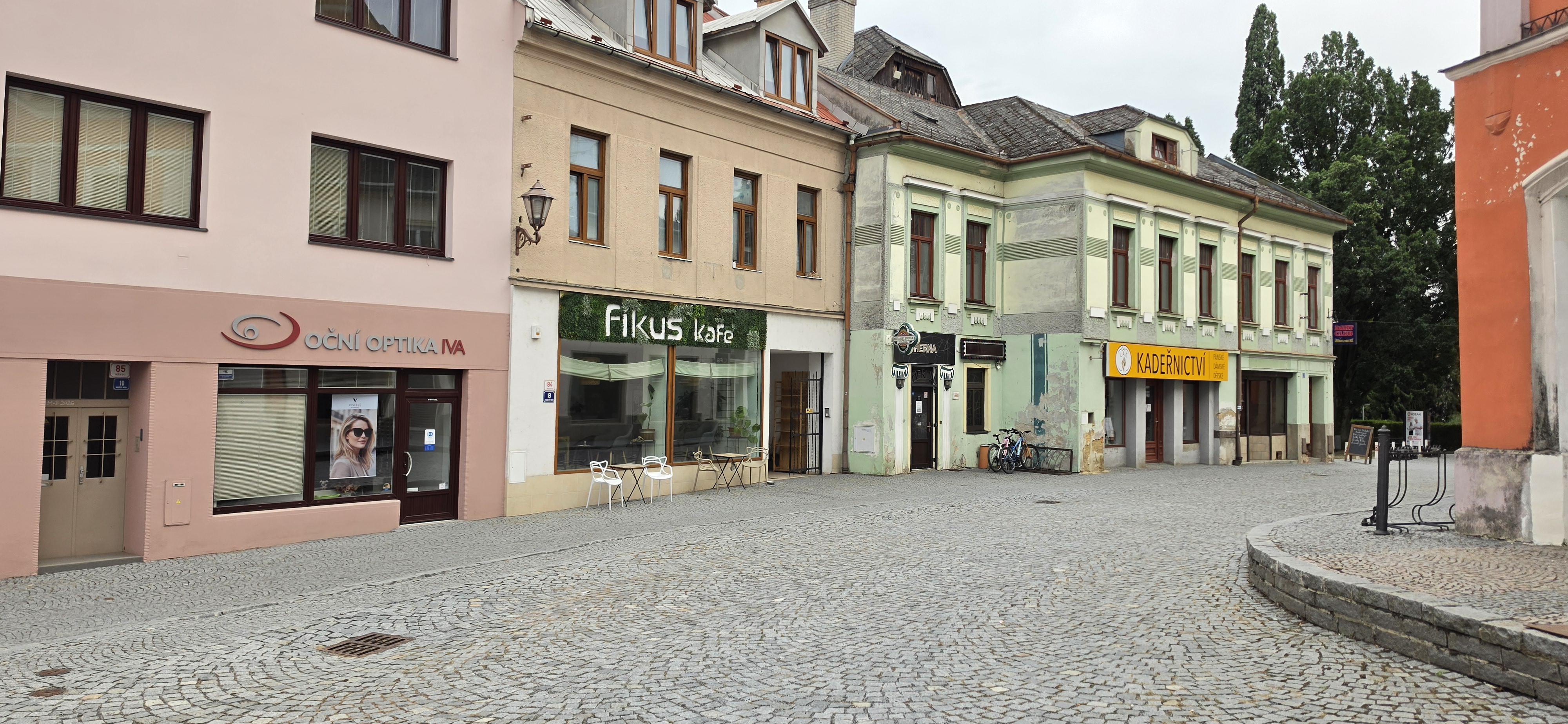 Fíkus kafe foto 1