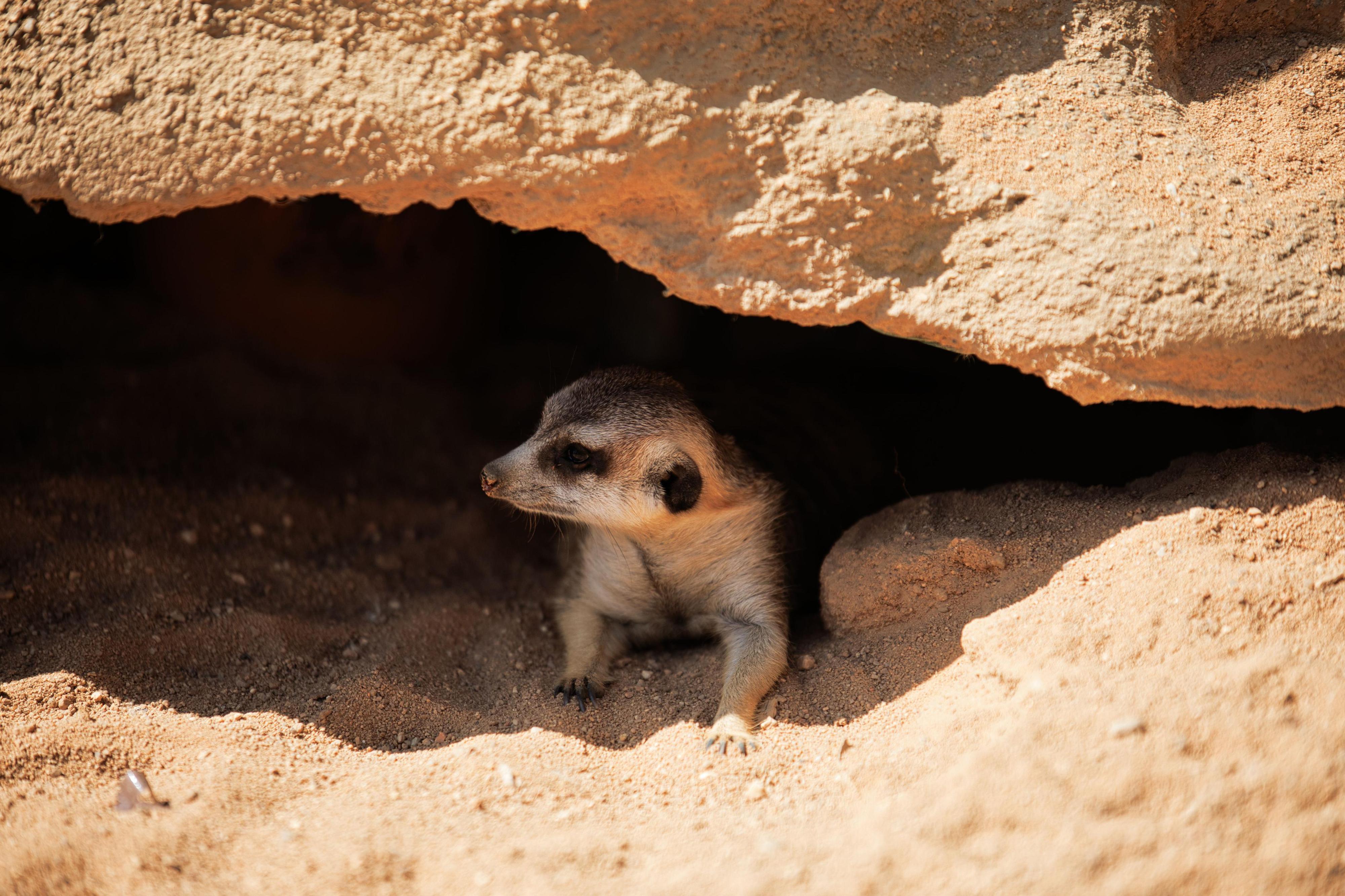 Zoo Plasy foto 4