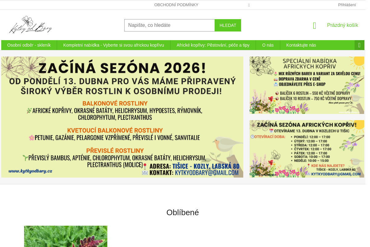 Kytky od Báry