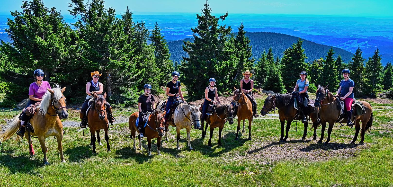 Horse Activity foto 4