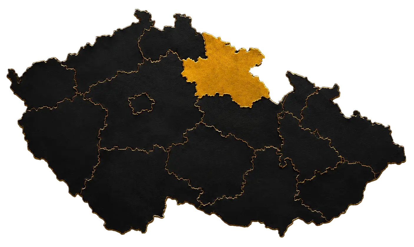 Jedine Fachmann foto 3