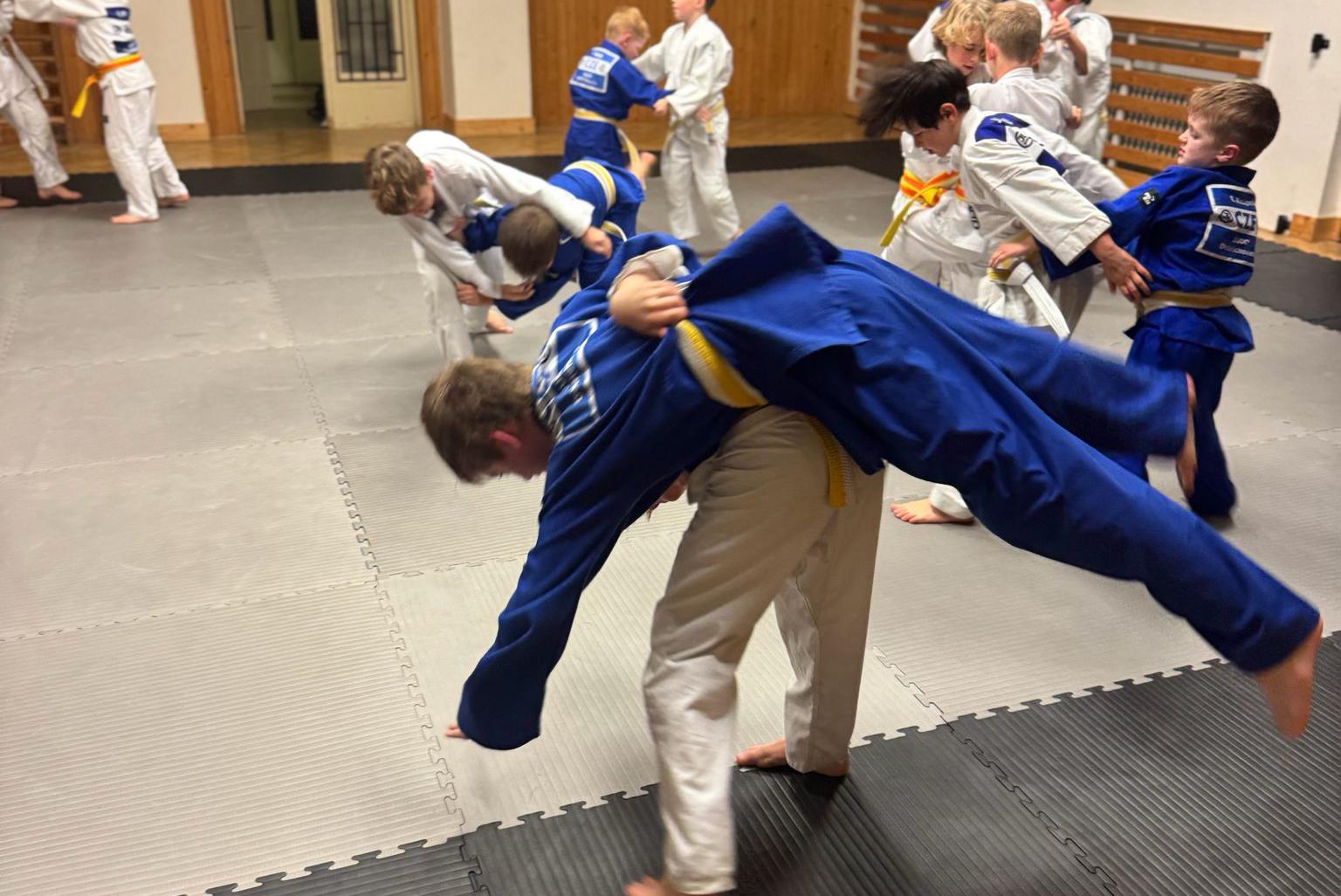 Judo Dobřichovice