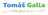 logo Gallactic energies