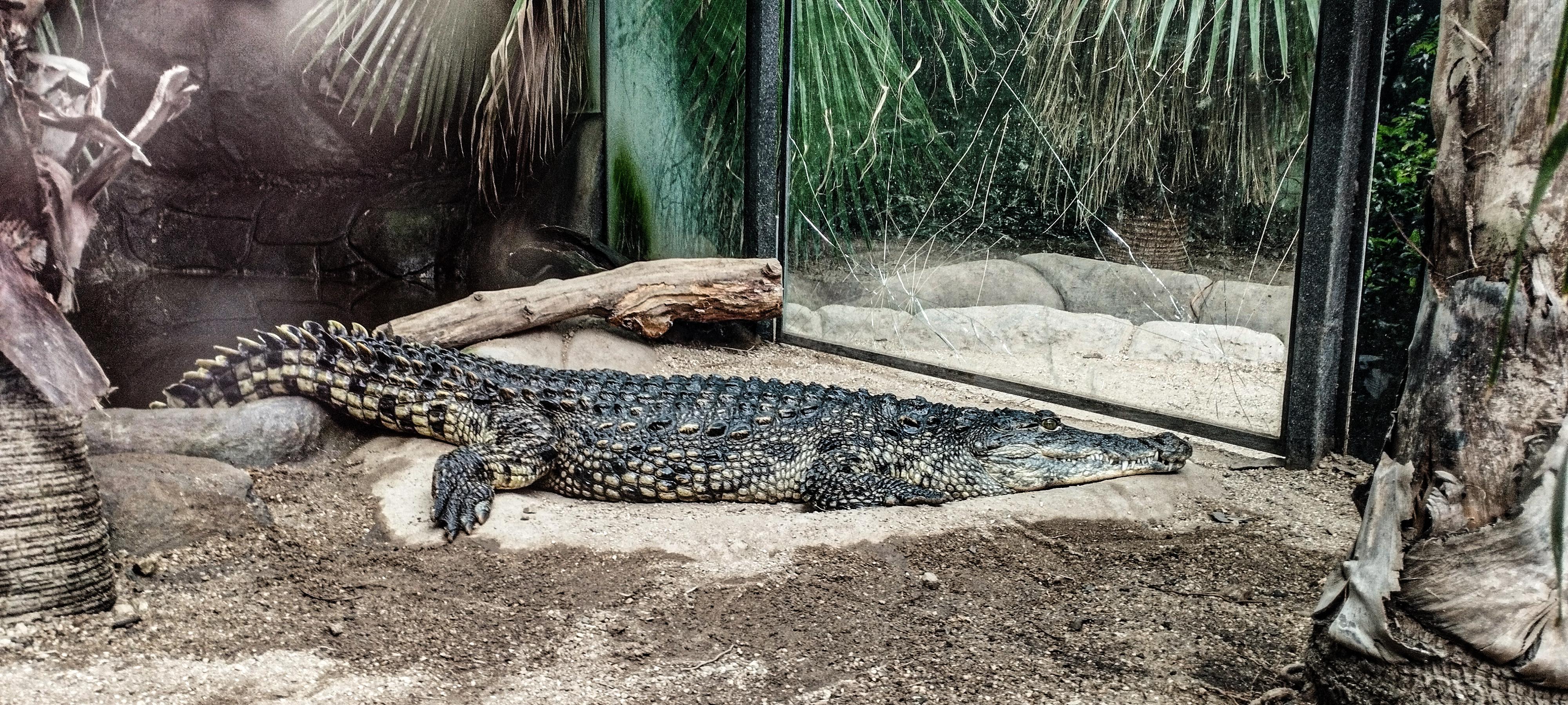 Zoologická zahrada Dvorec foto 5