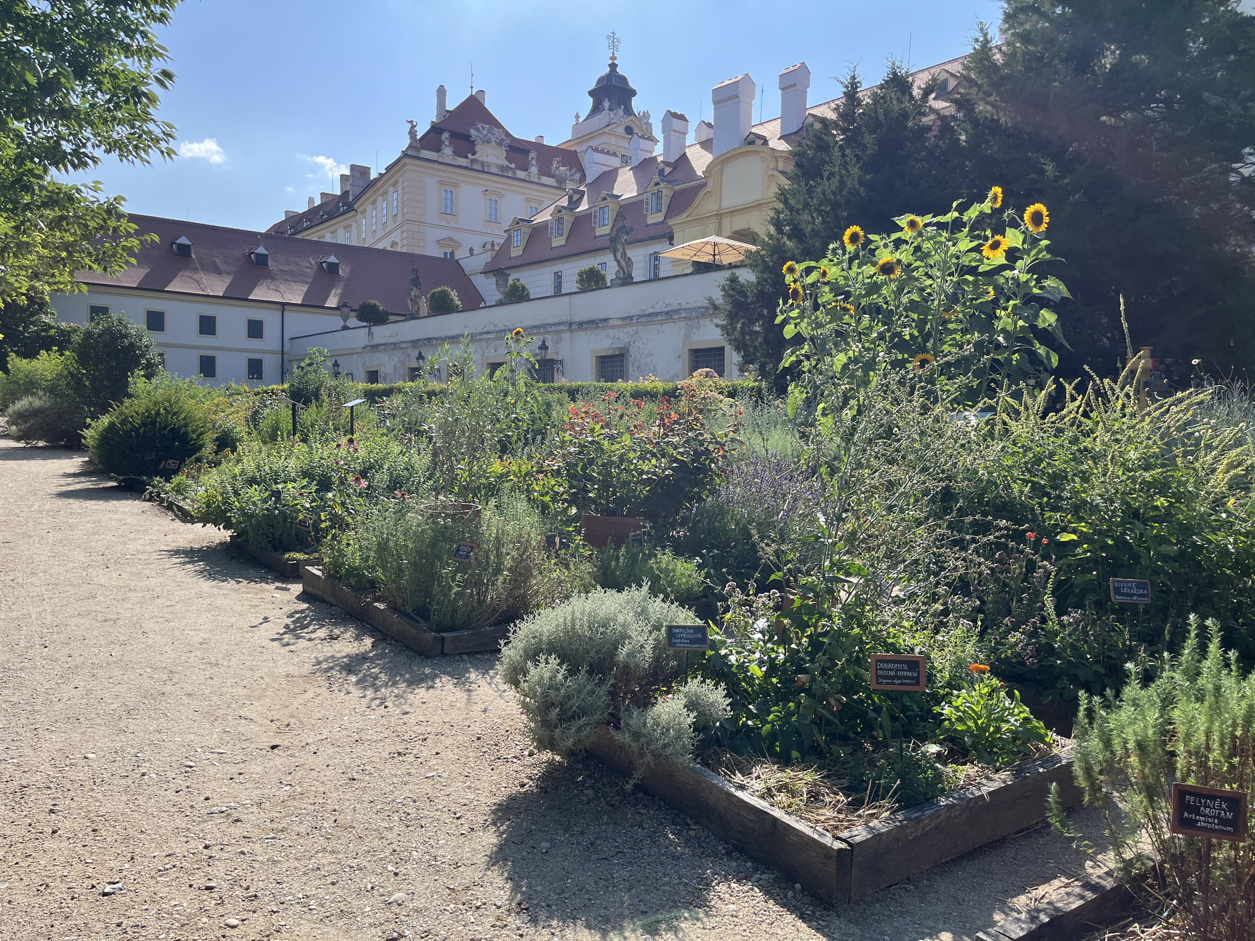 Bylinková zahrada Lu & Tiree Chmelar foto 3