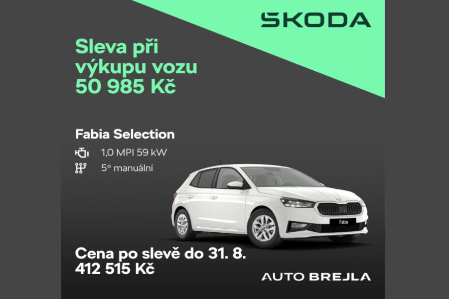 AKČNÍ NABÍDKA