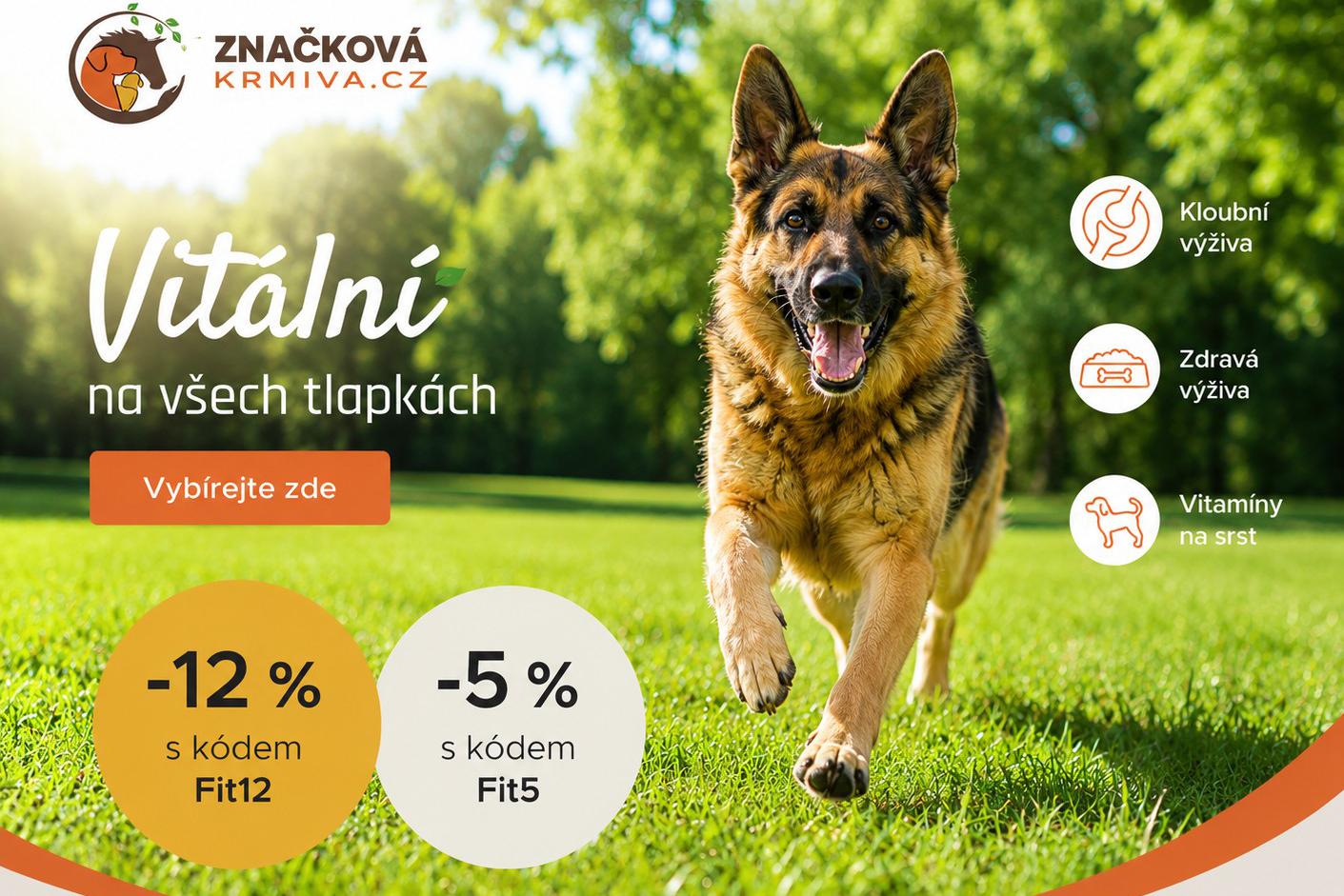 Podpořte vitalitu psa za rozumnou cenu