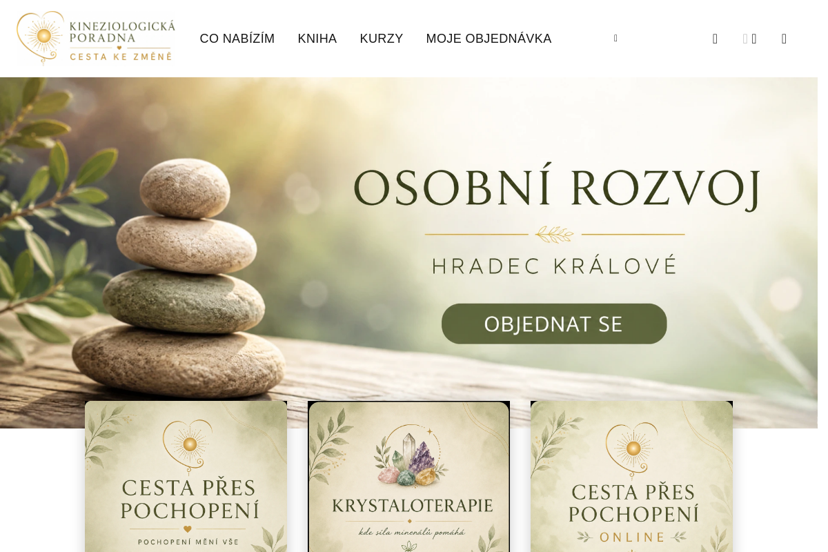 Poradna-kineziologie.cz